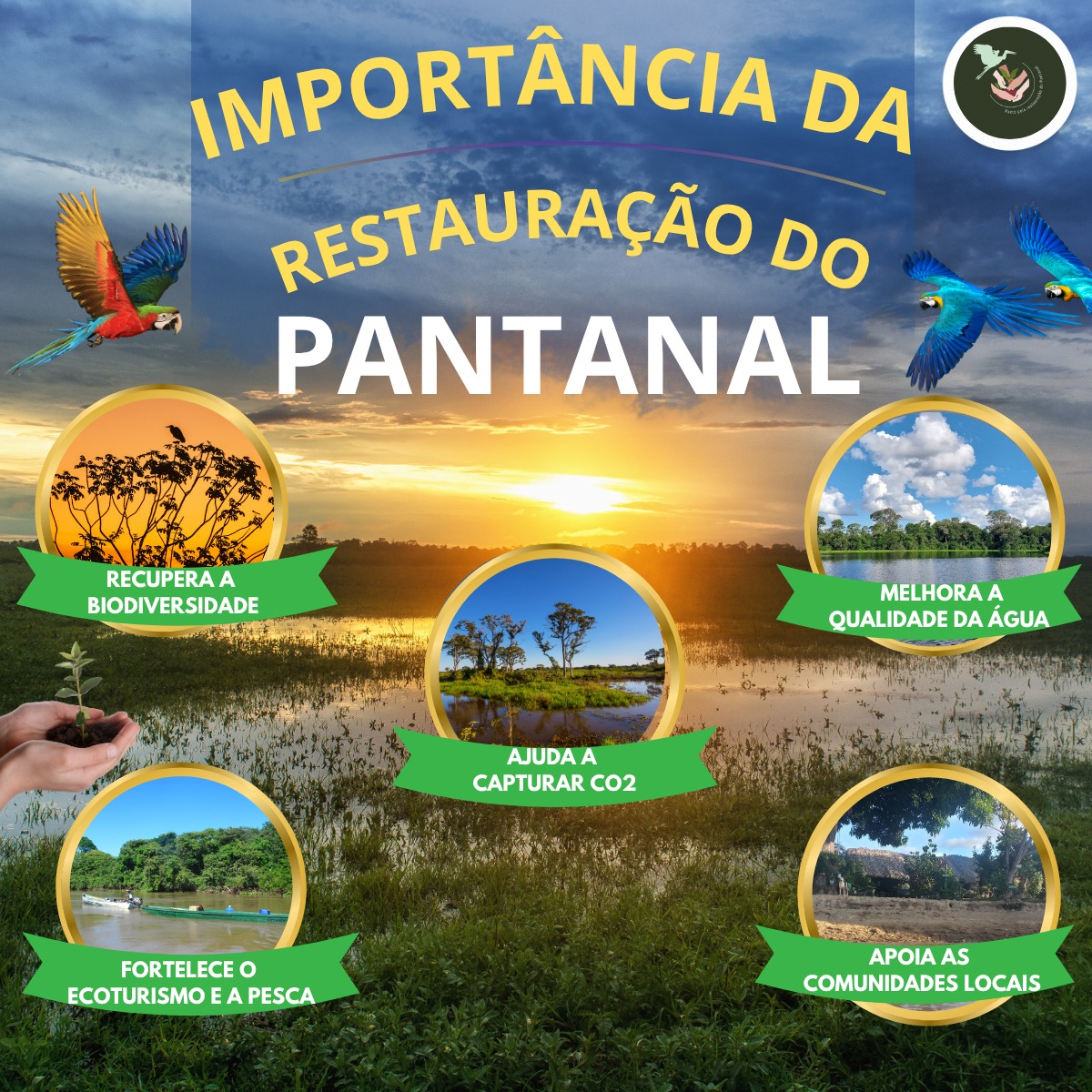 @pactopelarestauracaodoPantanal