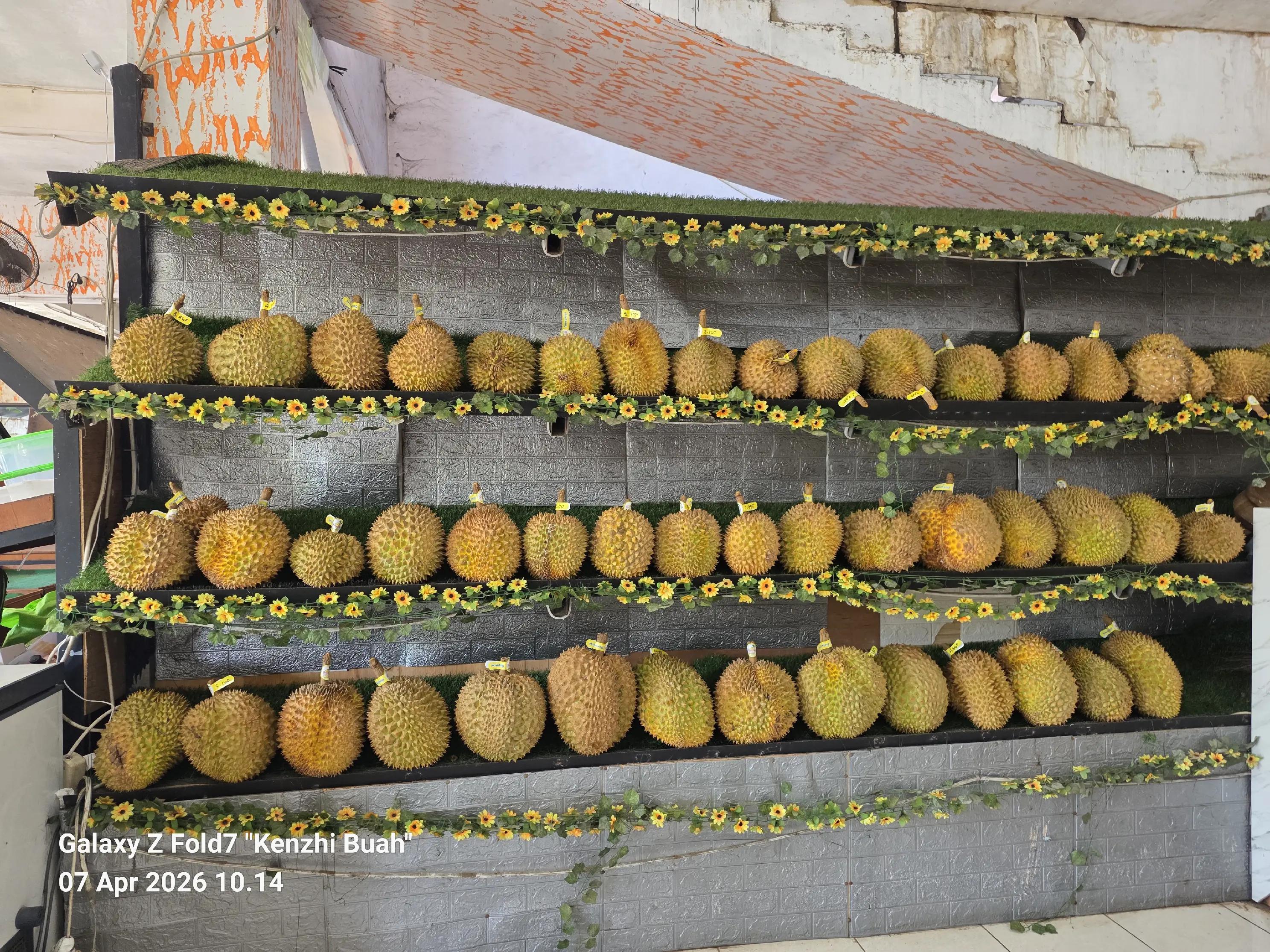 @Kenzhi Durian Tuban