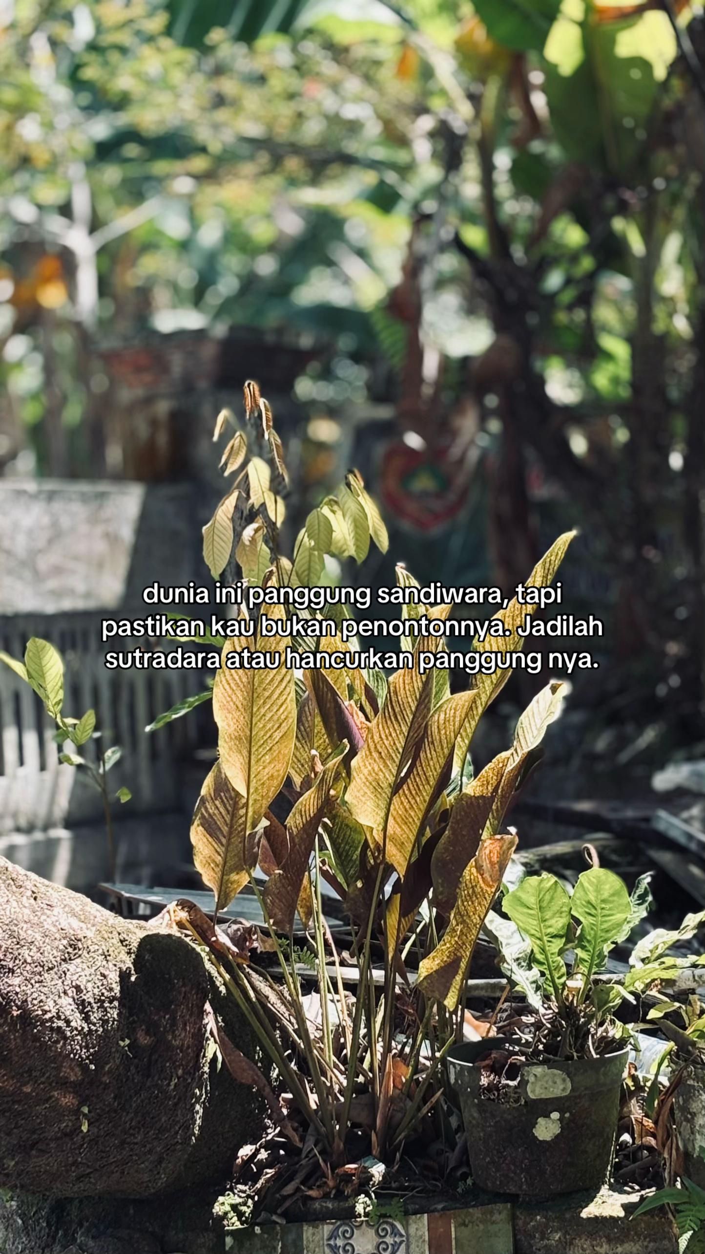 @𝙈𝙝𝙮𝙙𝙖𝙥𝙧𝙨𝙩𝙮_🪬