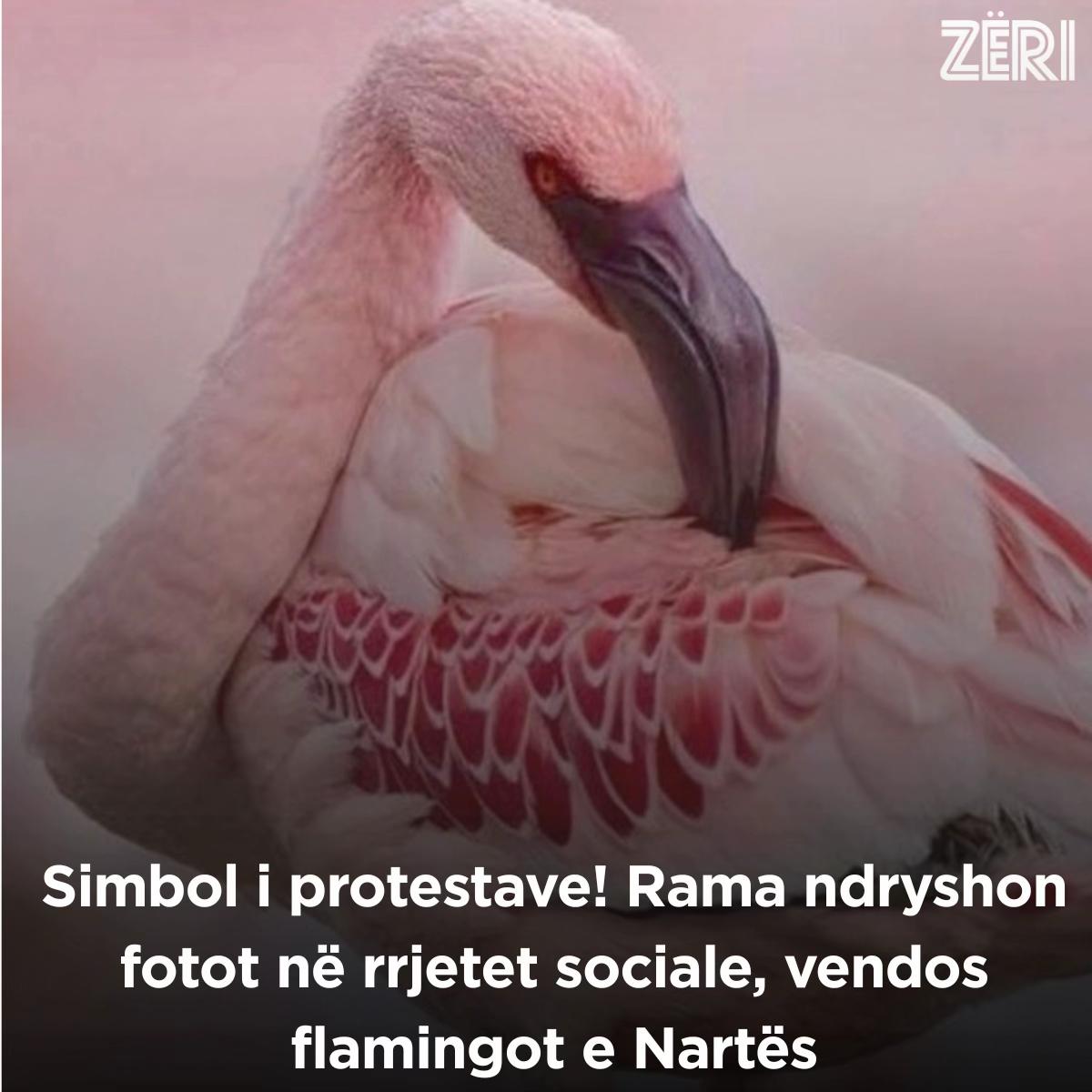 @Z&Euml;RI