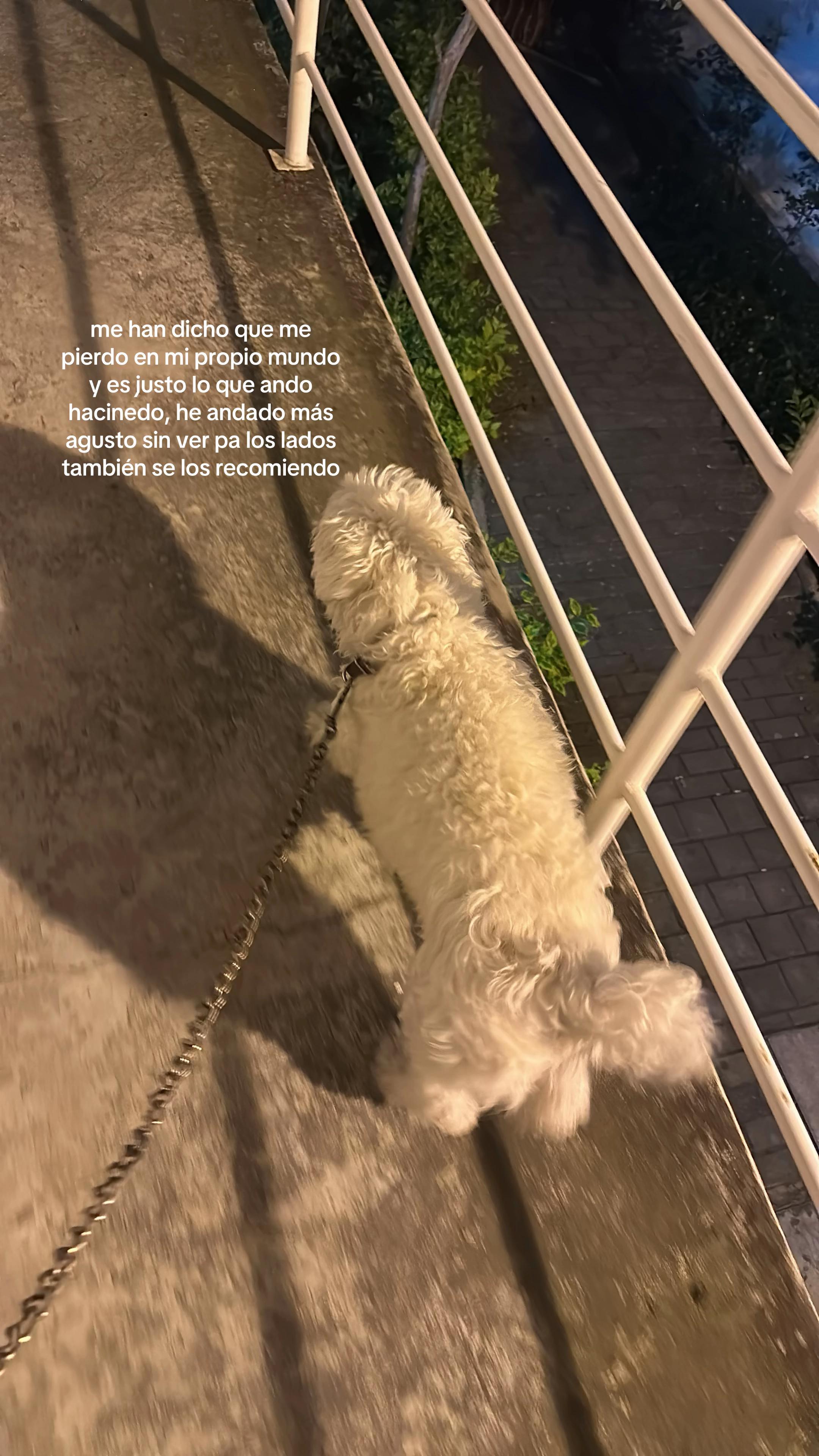 @Josh- videos bonitos ✨