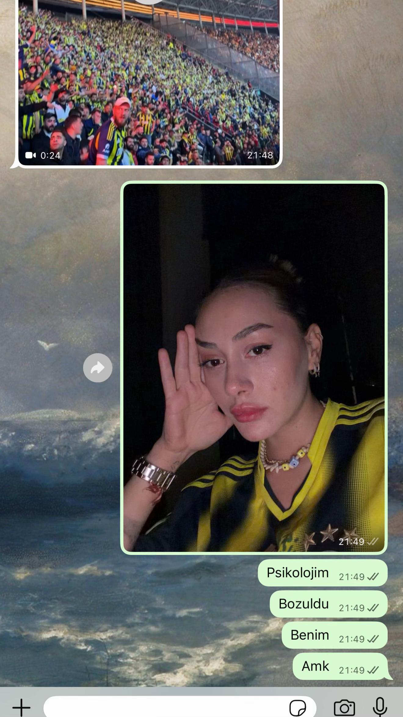 @nisademirerr