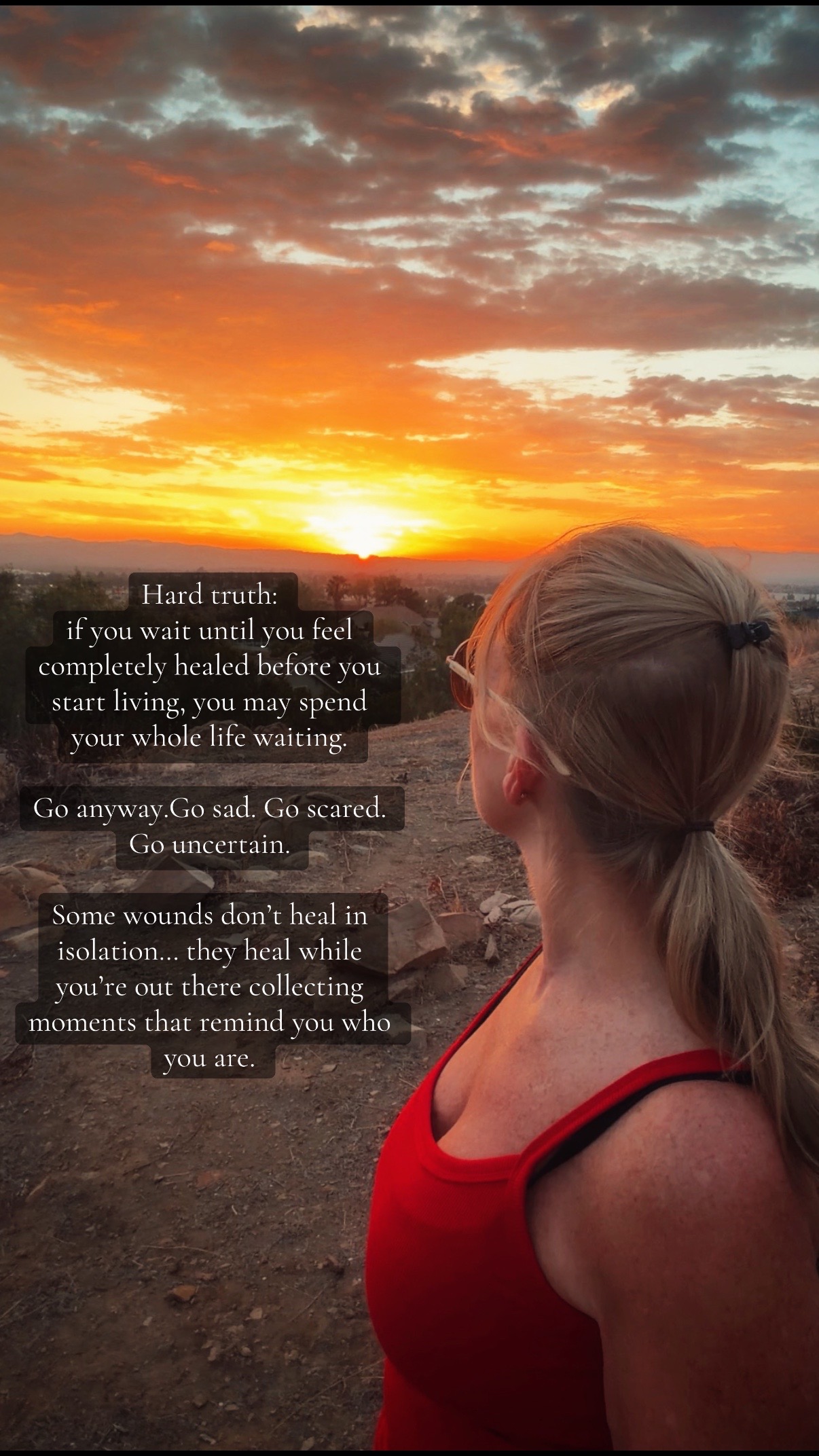 @🌅 Sunset Lori 🌅