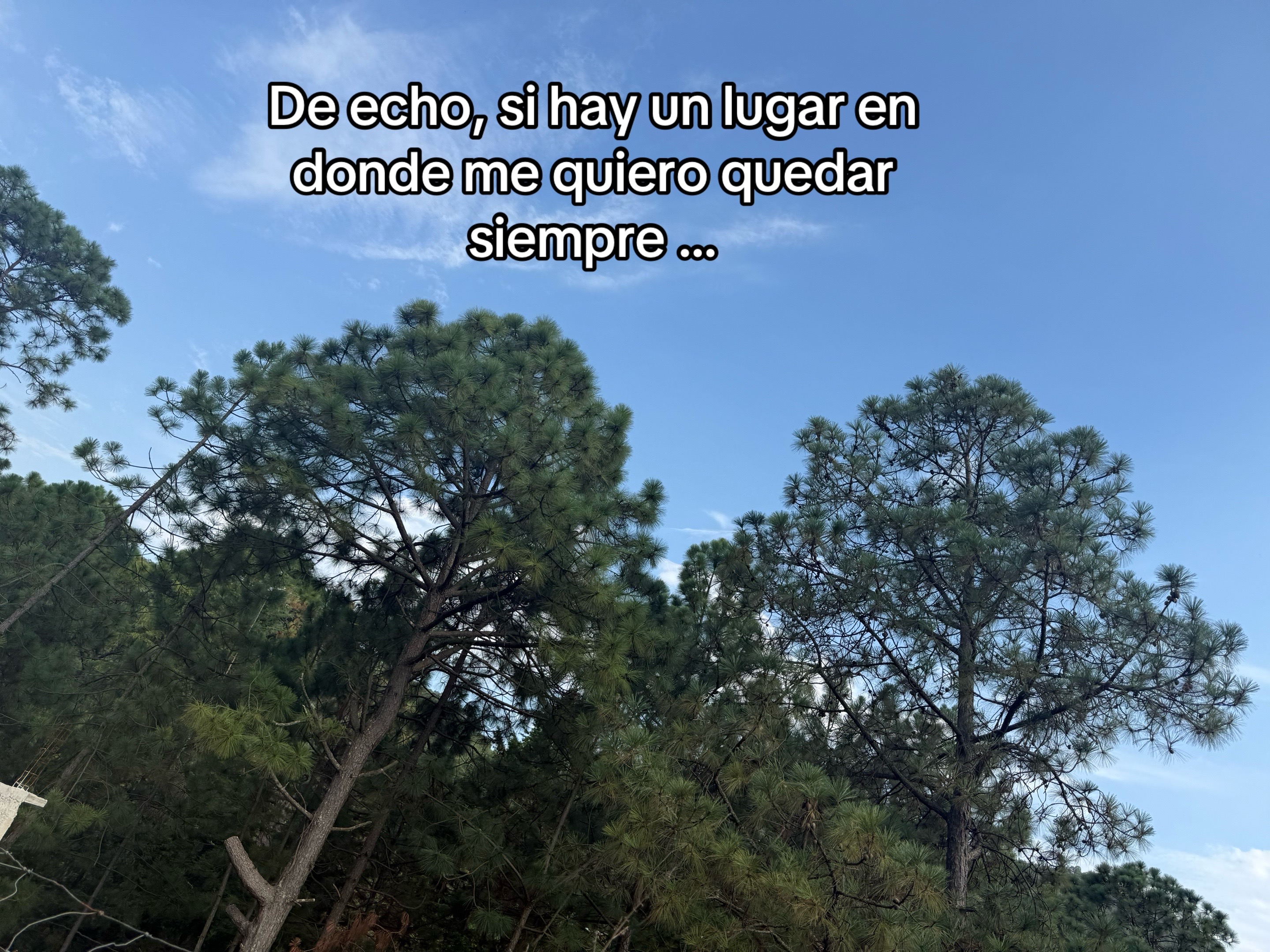 @Avila Mondra🤍