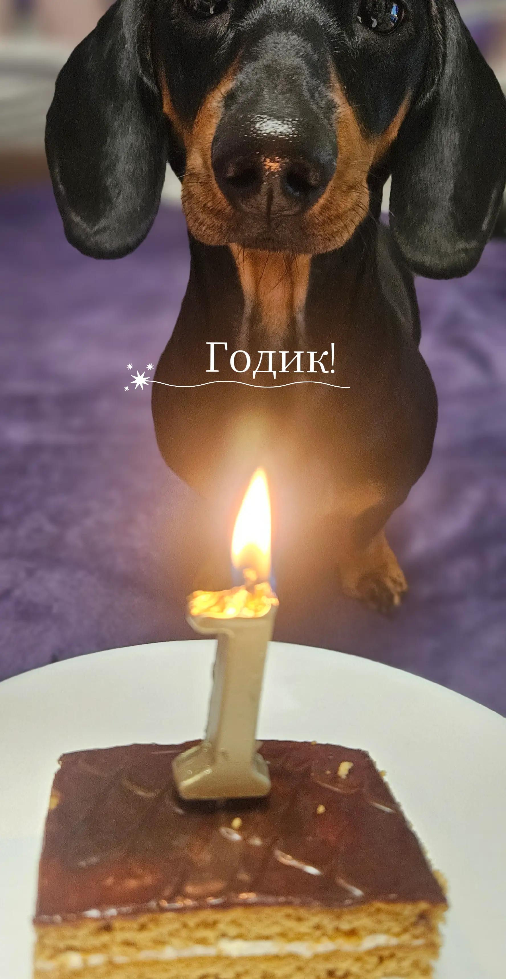 @Irina Asc