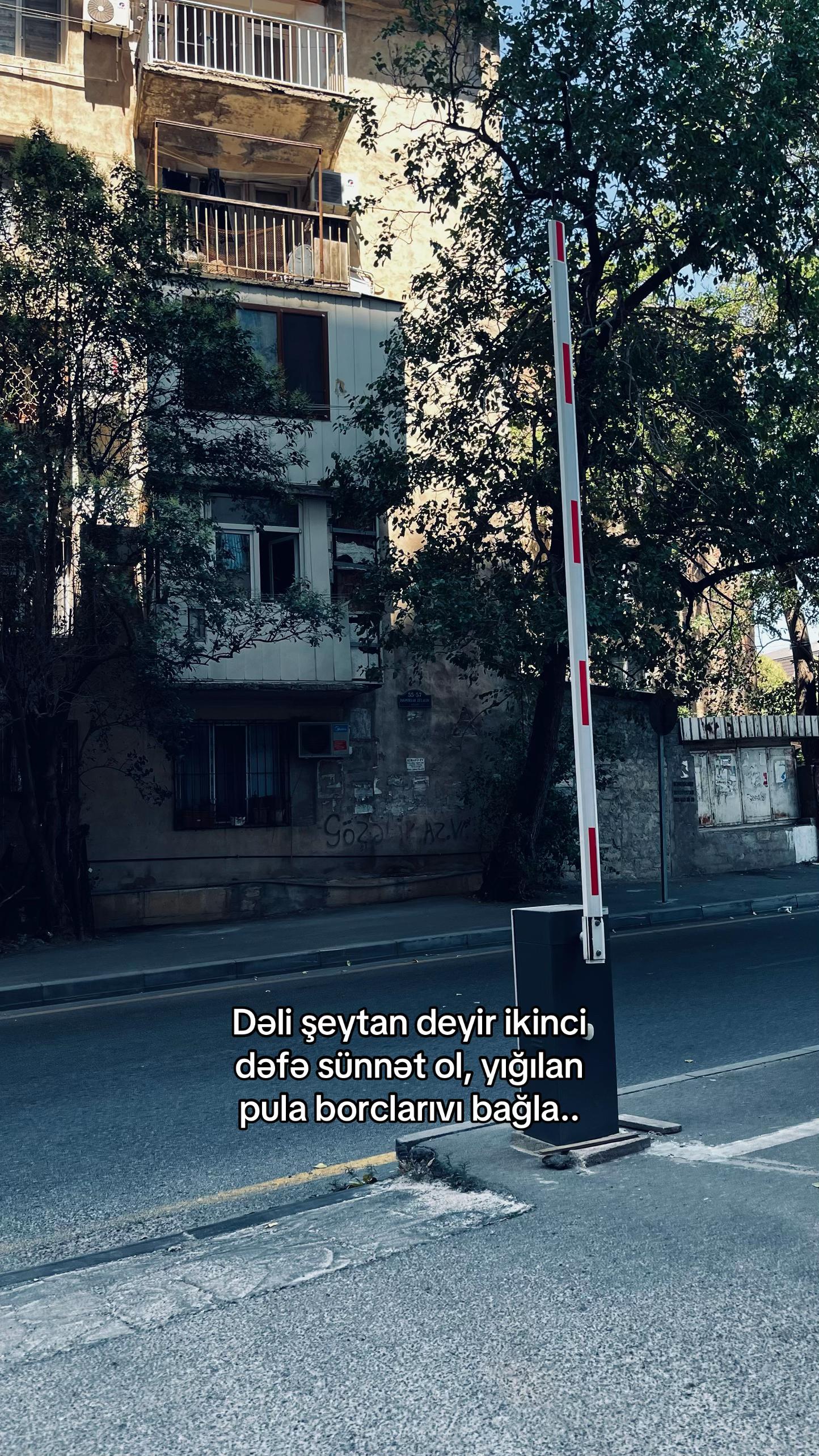 @Necesen xanım?