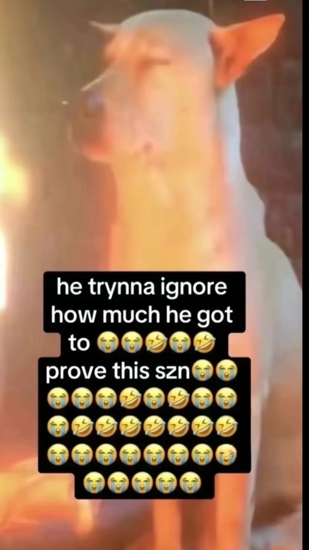 @jay
