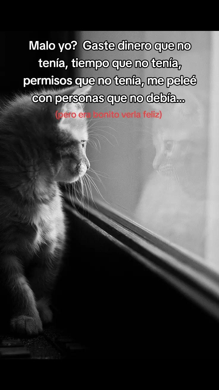 @Leoncio🗣️