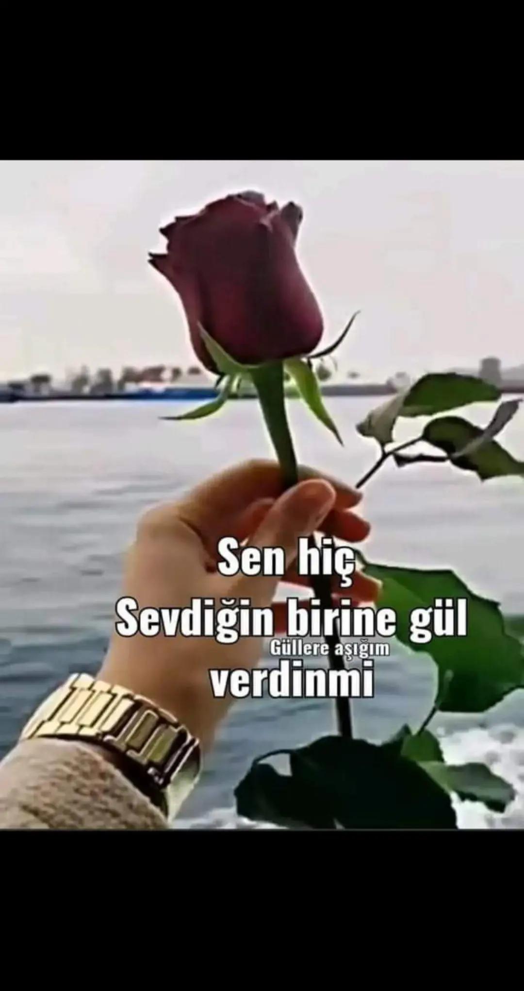 @Nurettin Kaval