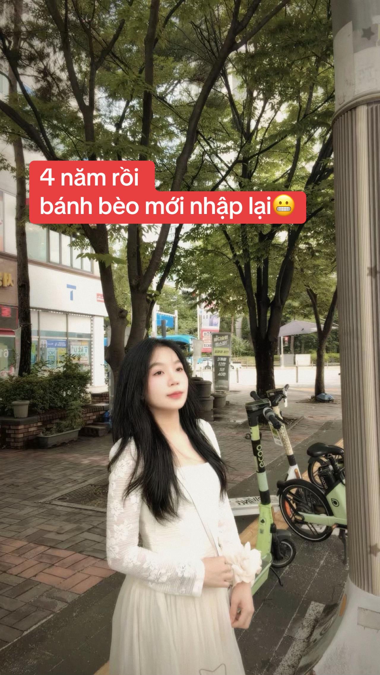 @LTBT🇻🇳🇰🇷 𓂃 ࣪ ִֶָ🦢་༘࿐