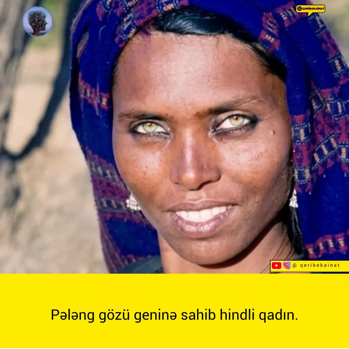 @qeribekainat