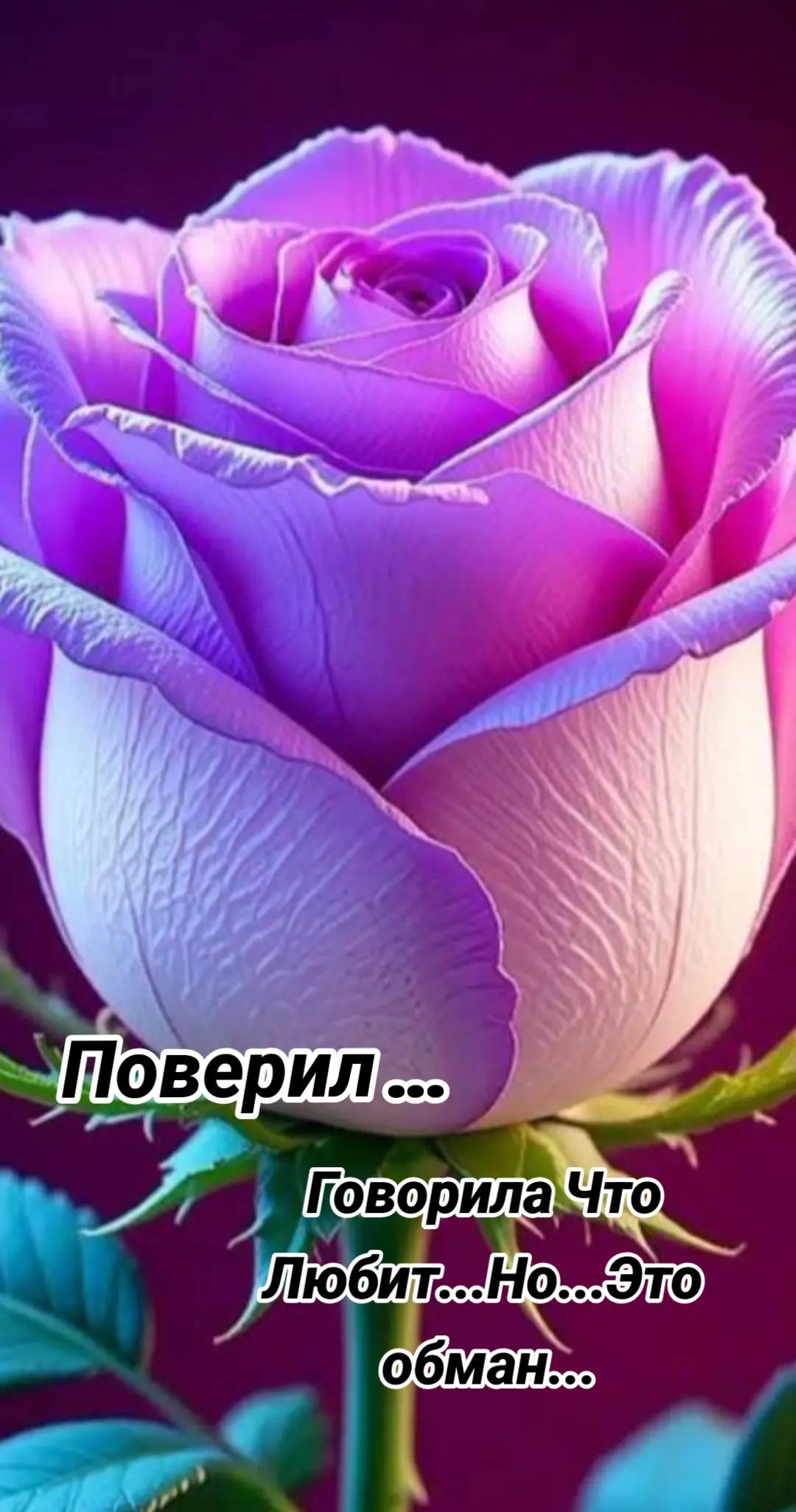 @Never Look Back