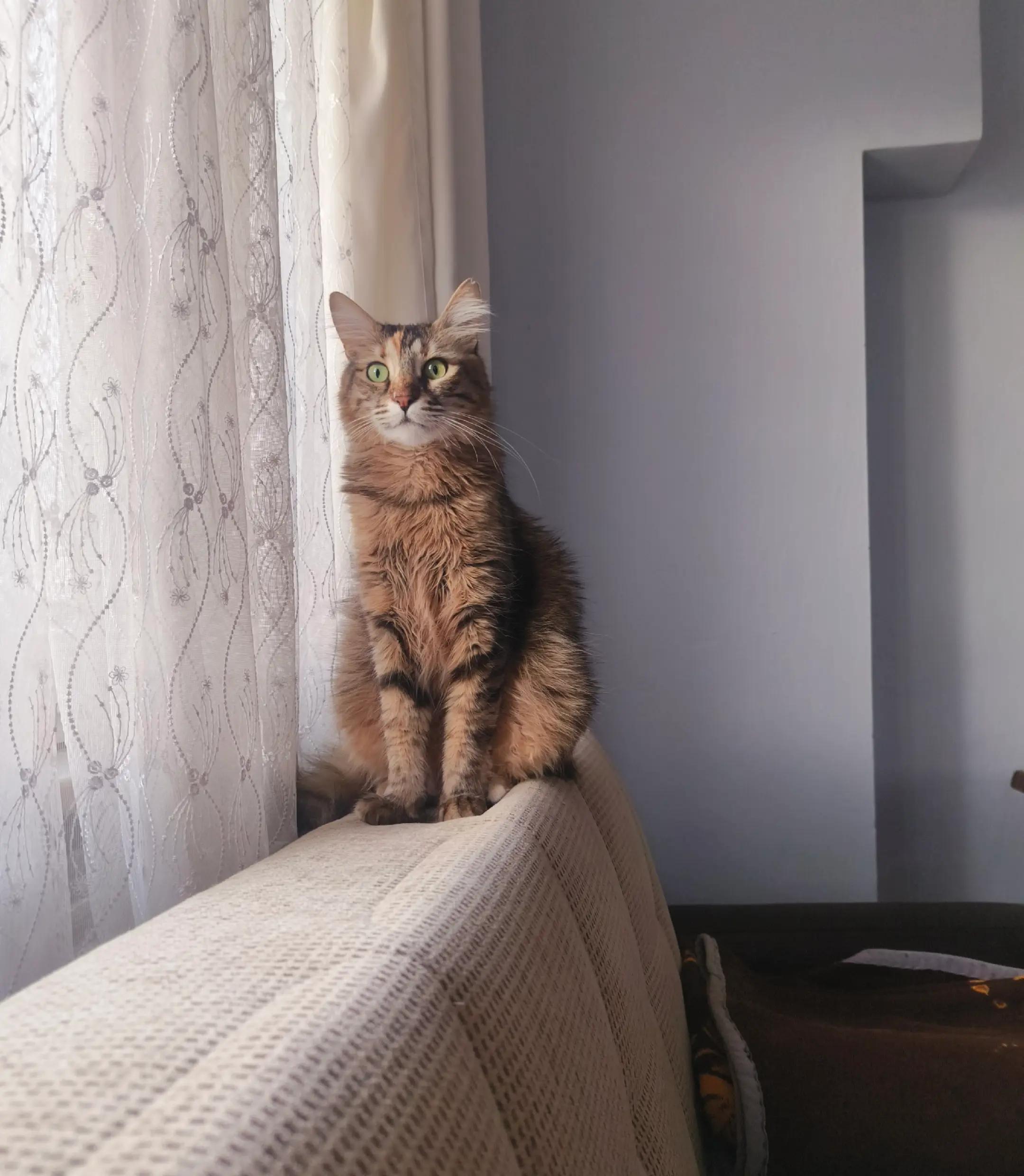 @nazlı sultan