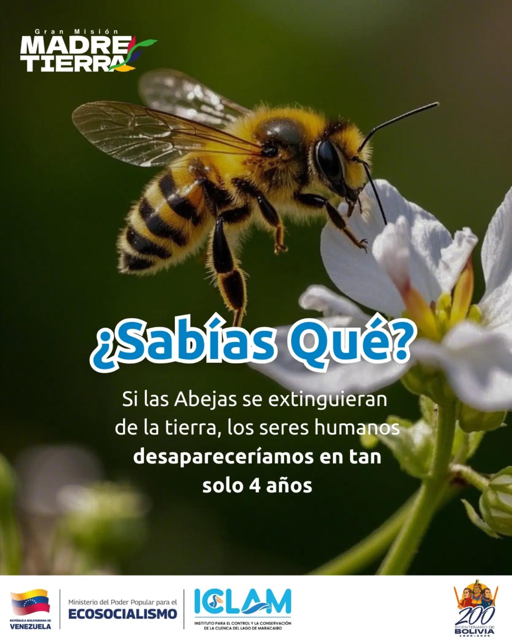 @iclam_ve