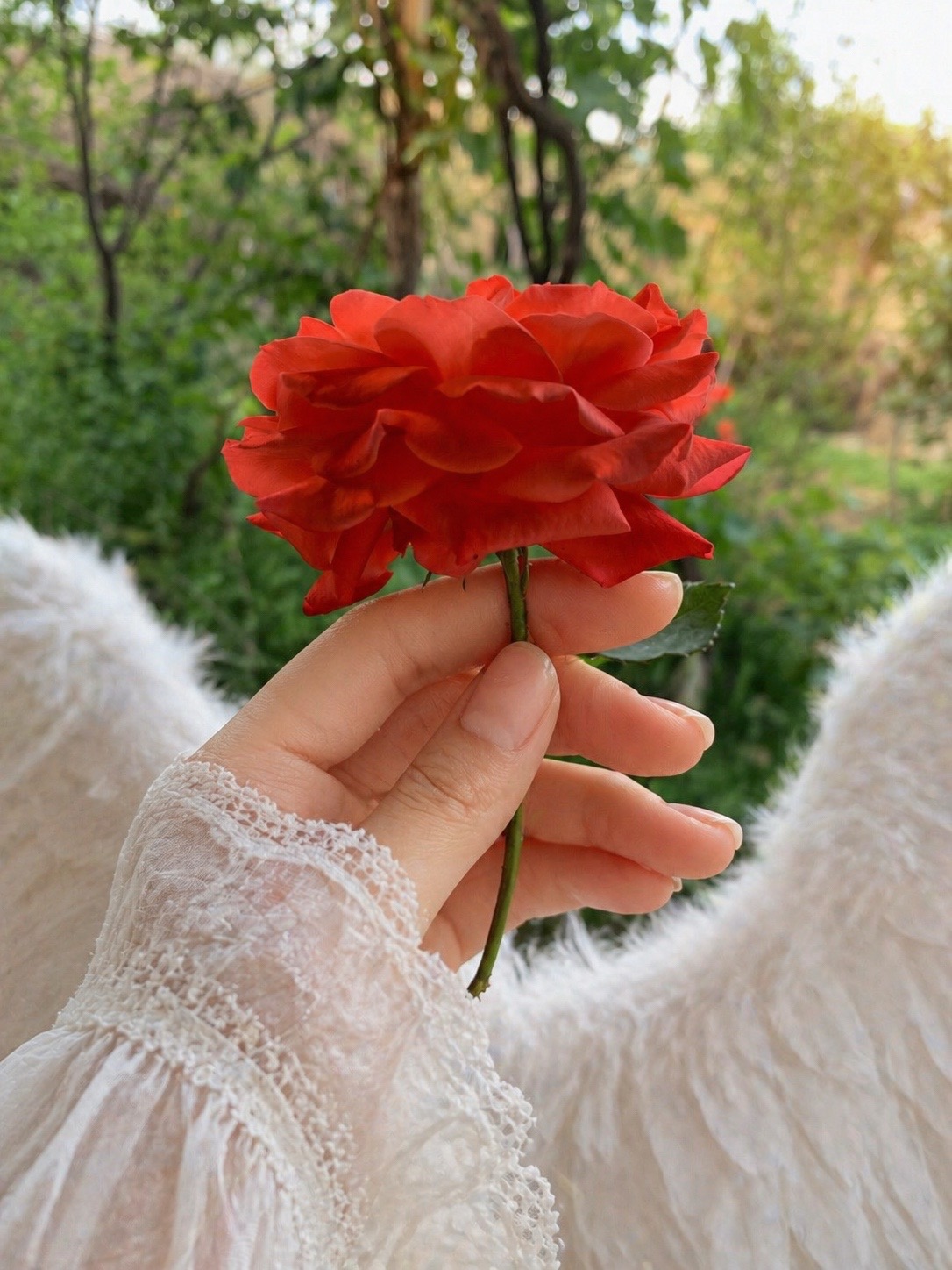 @Assia(آسيه)