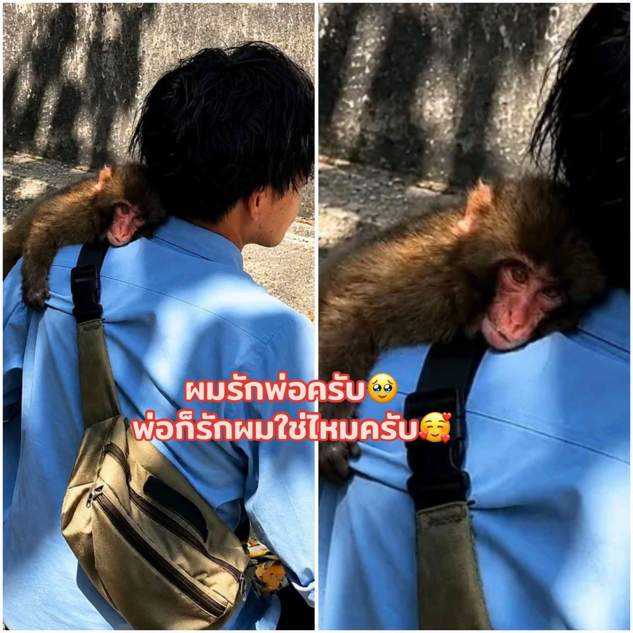 @mymint_teamwang