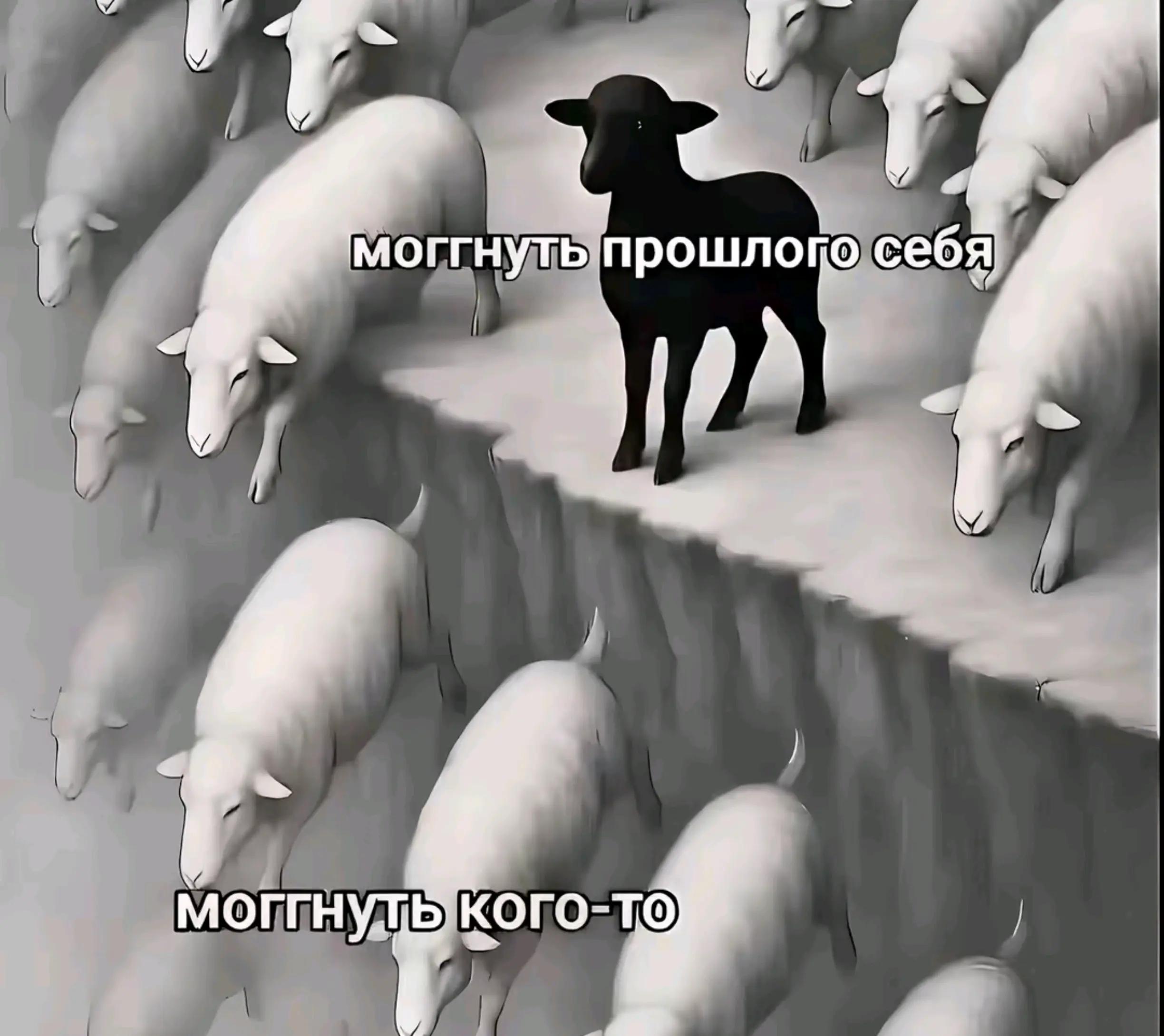 @#лимузин😝🤘#