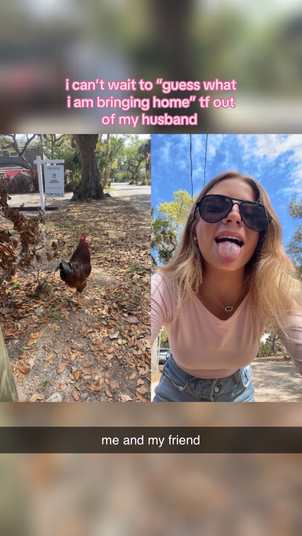 @lily dupper spamm🤠🤠