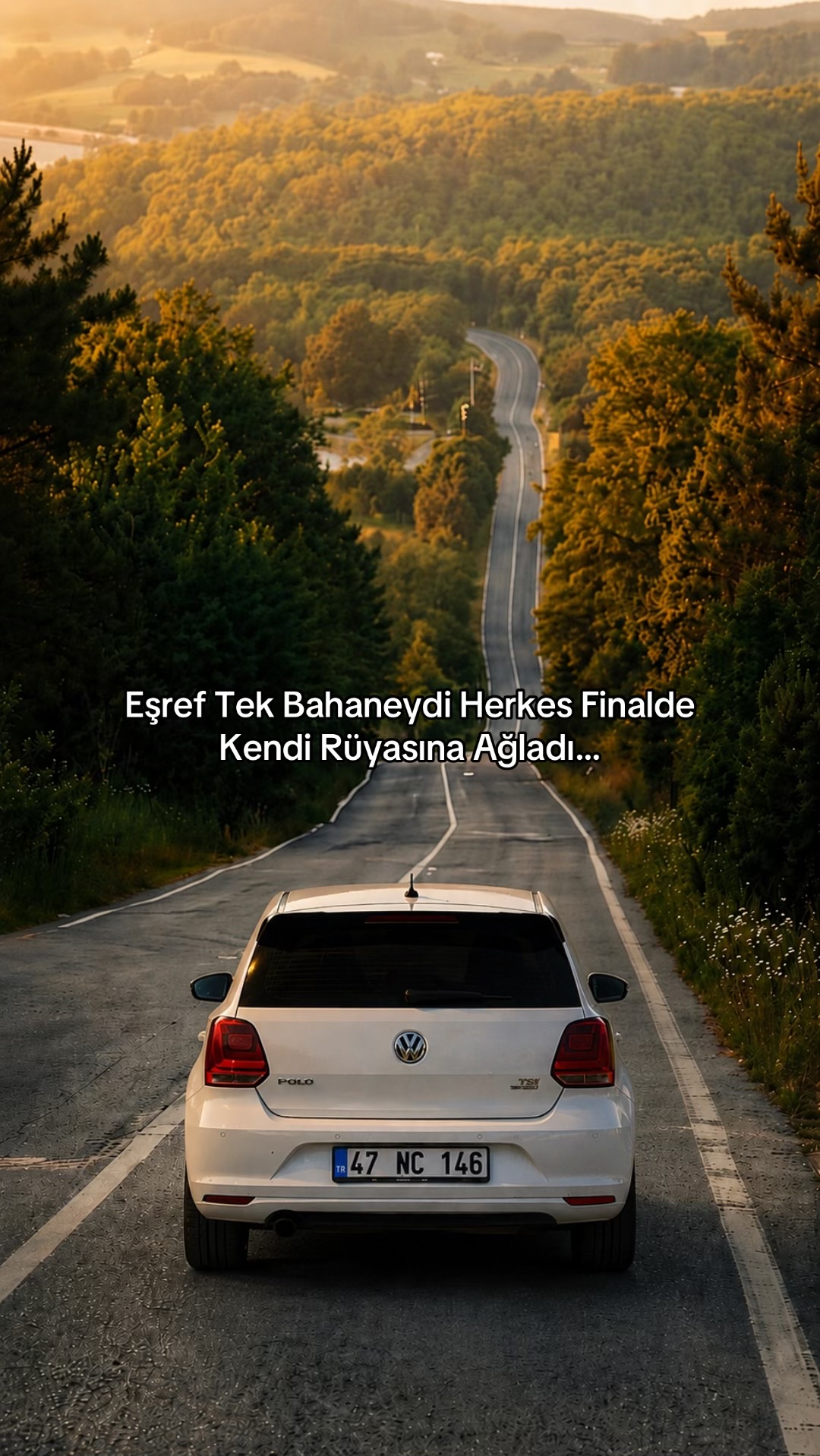 @Selman Ekin