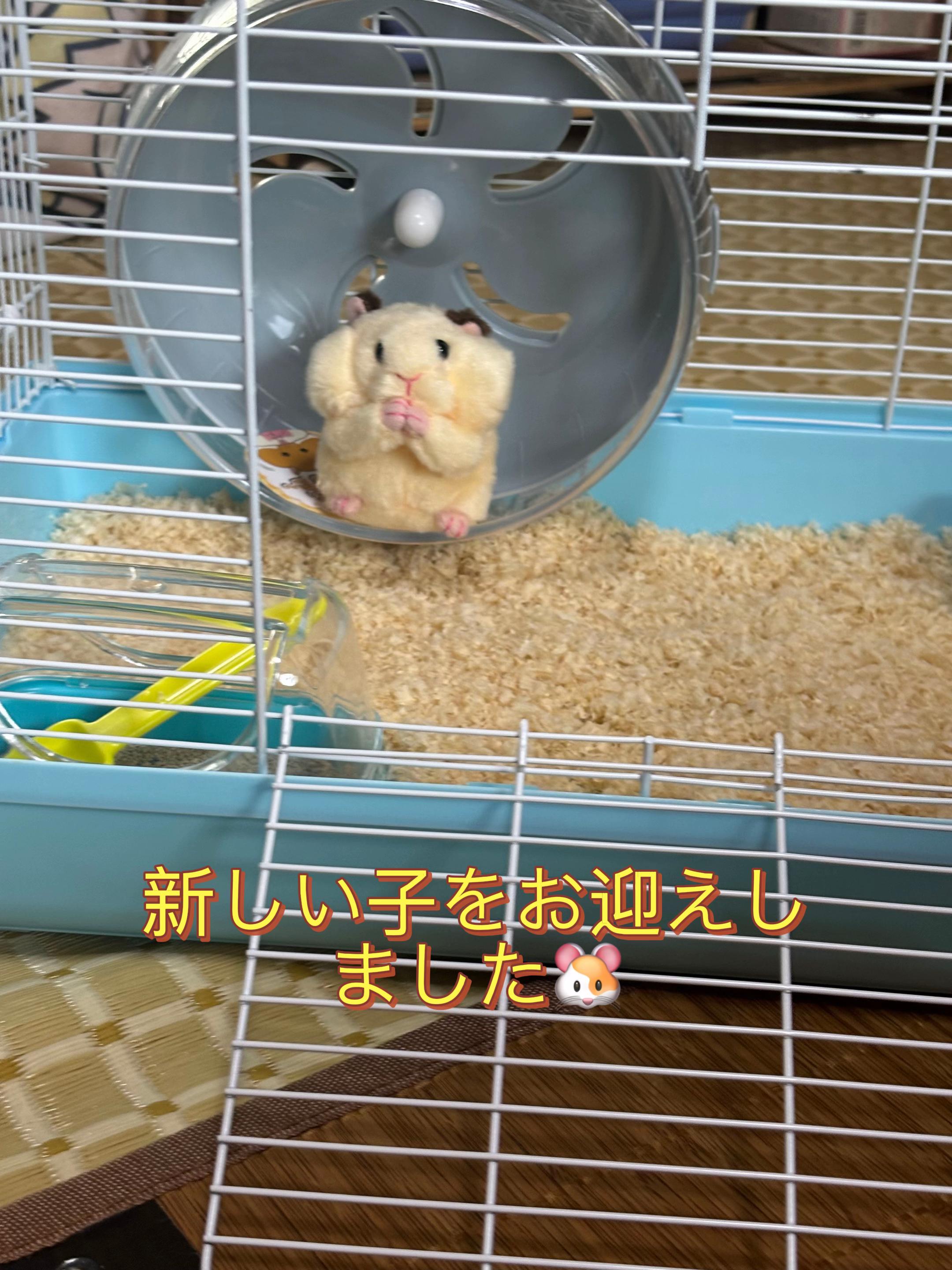 @big mama 🐹🐕