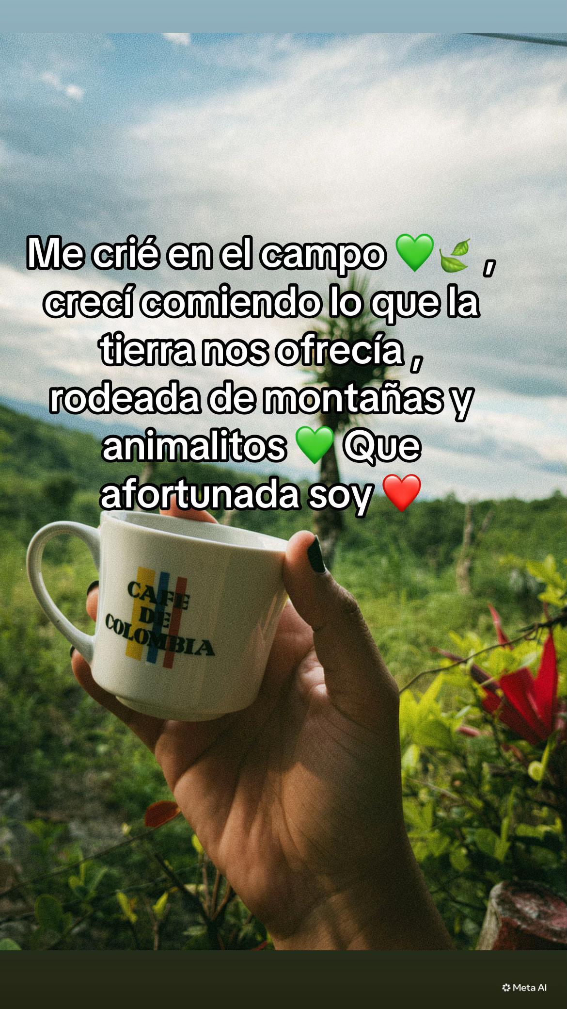 @Juliana Montenegro