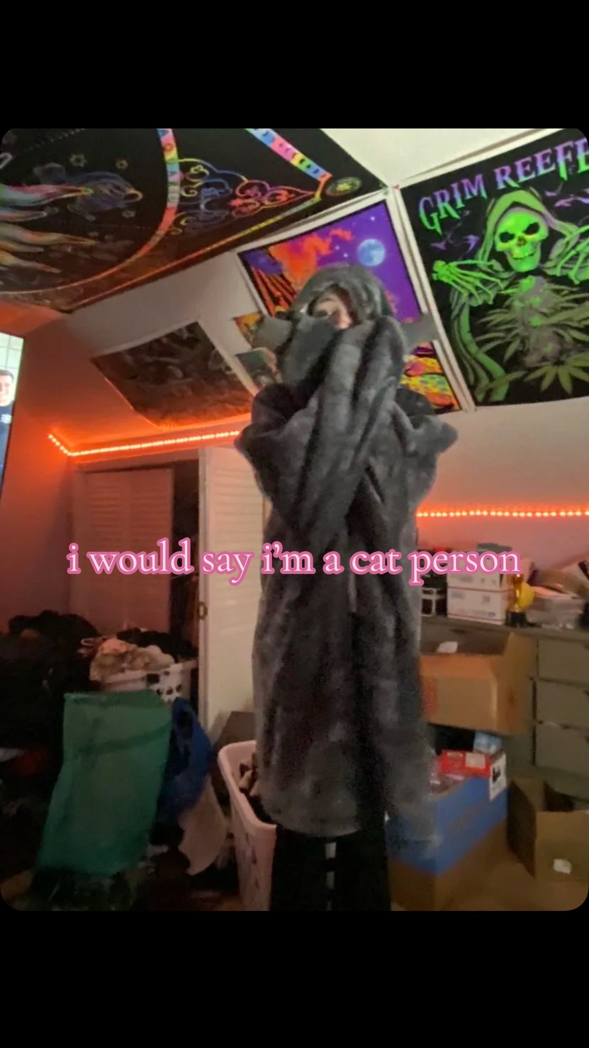 @dani 🖤