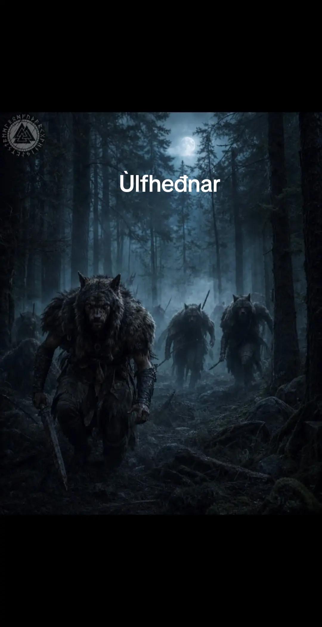 @Old man Berserker🪓Úlfheđnar