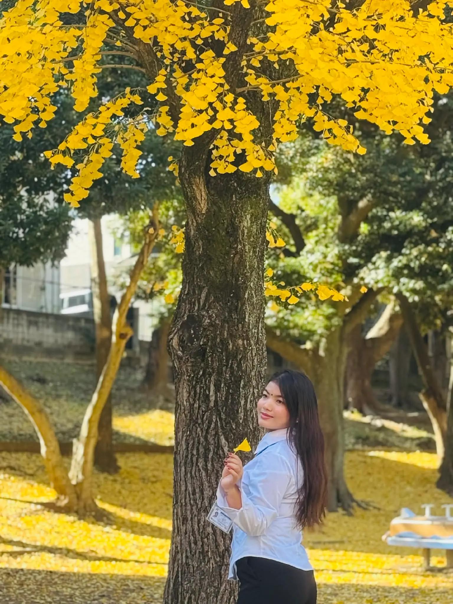 @Juni chepang🧚&zwj;♀️