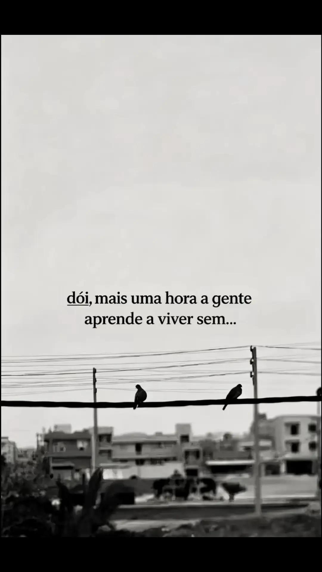 @Luana costa