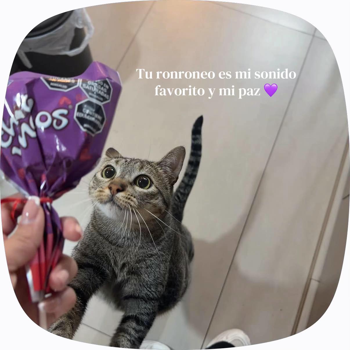 @Laura León Melo