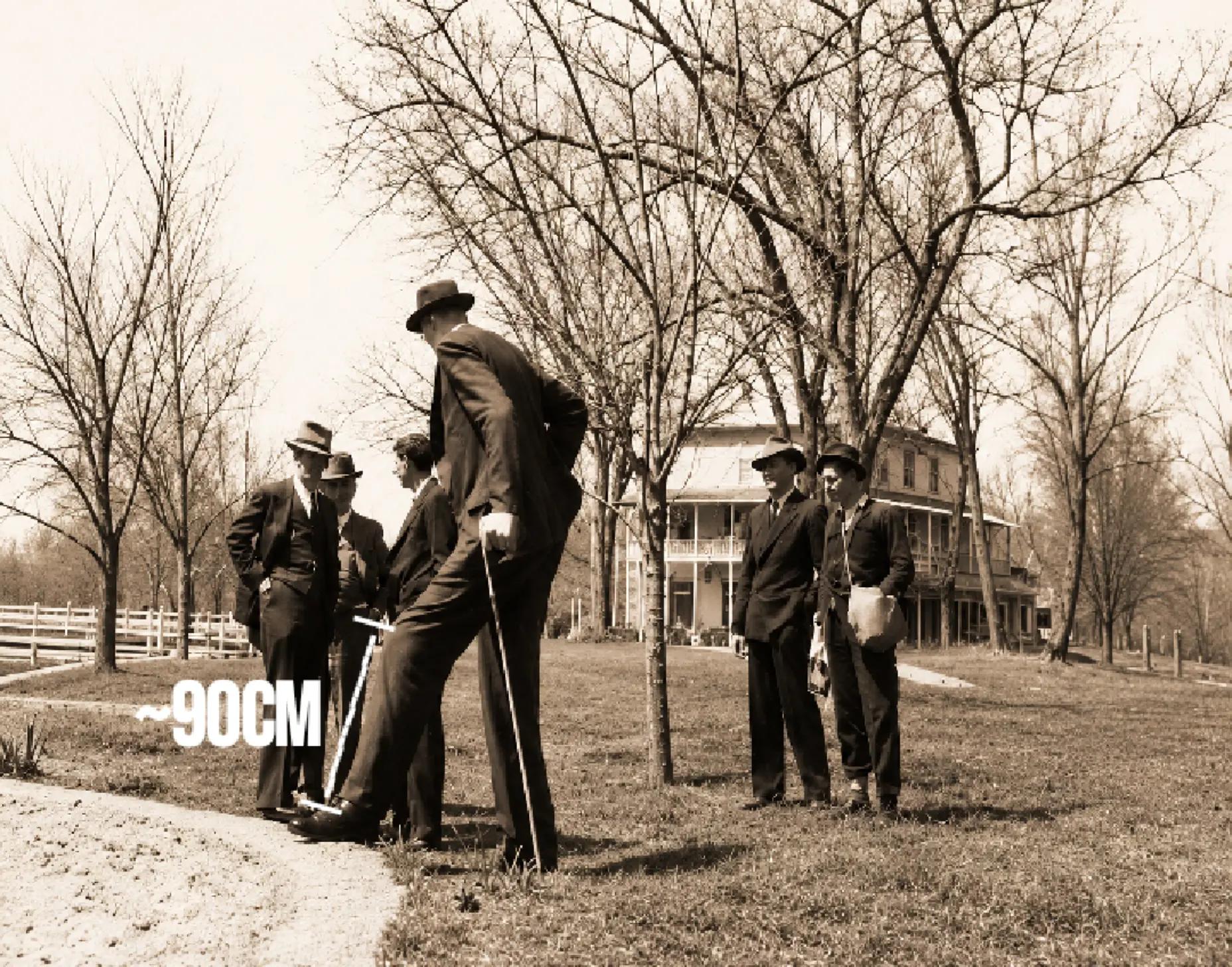 @Robert Wadlow