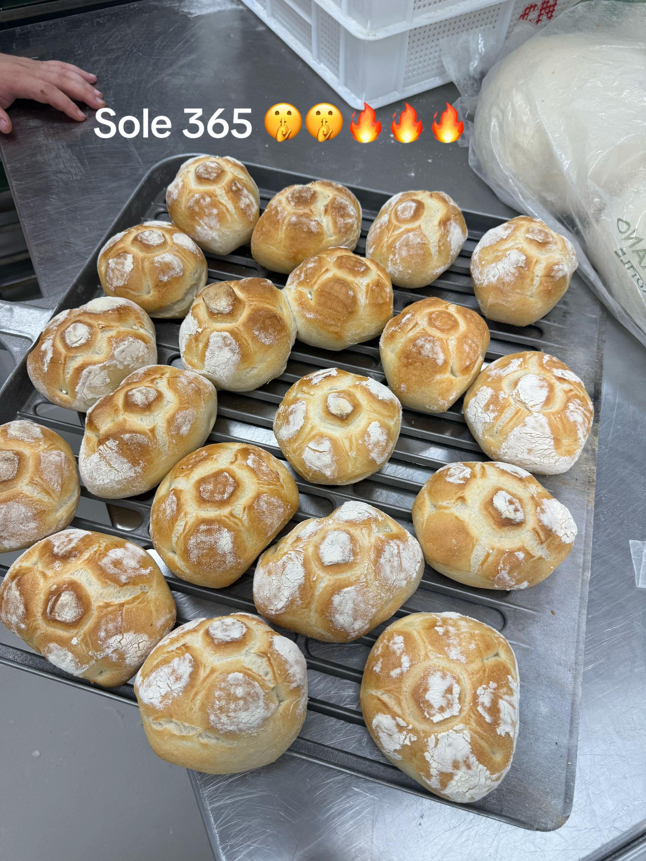 @giuseppe.brescia5195