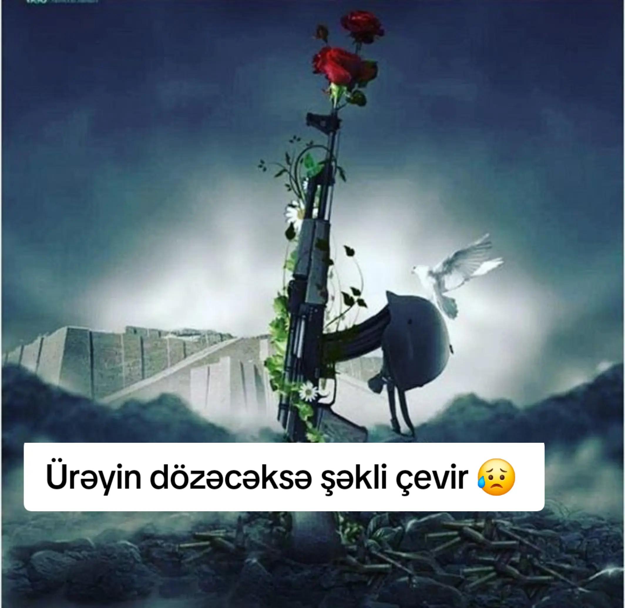 @⚔️_✺νєтєηqιʑι✺_🇦🇿