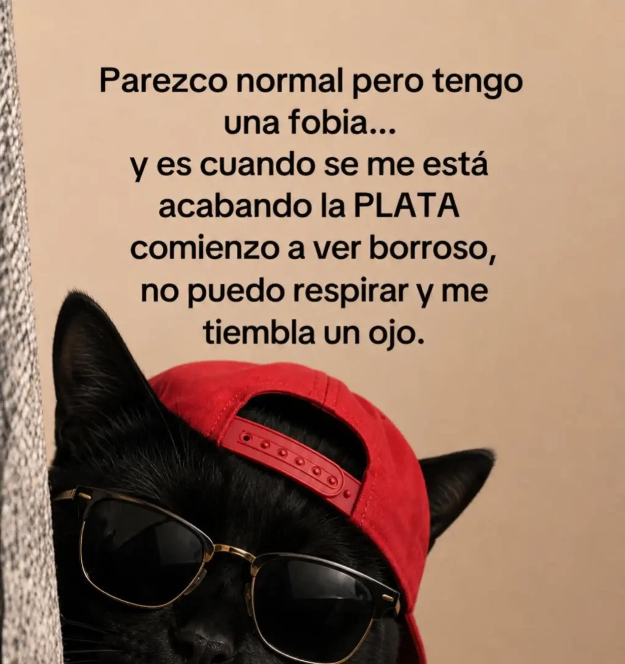 @Sarita