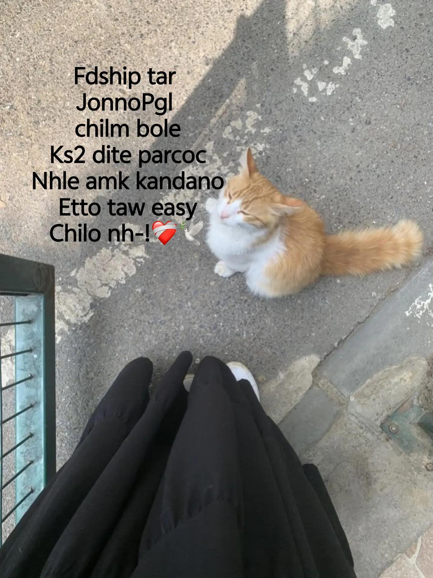 @𝗠ɪʟɪ 𝗡ᴋɪ-¡?👅