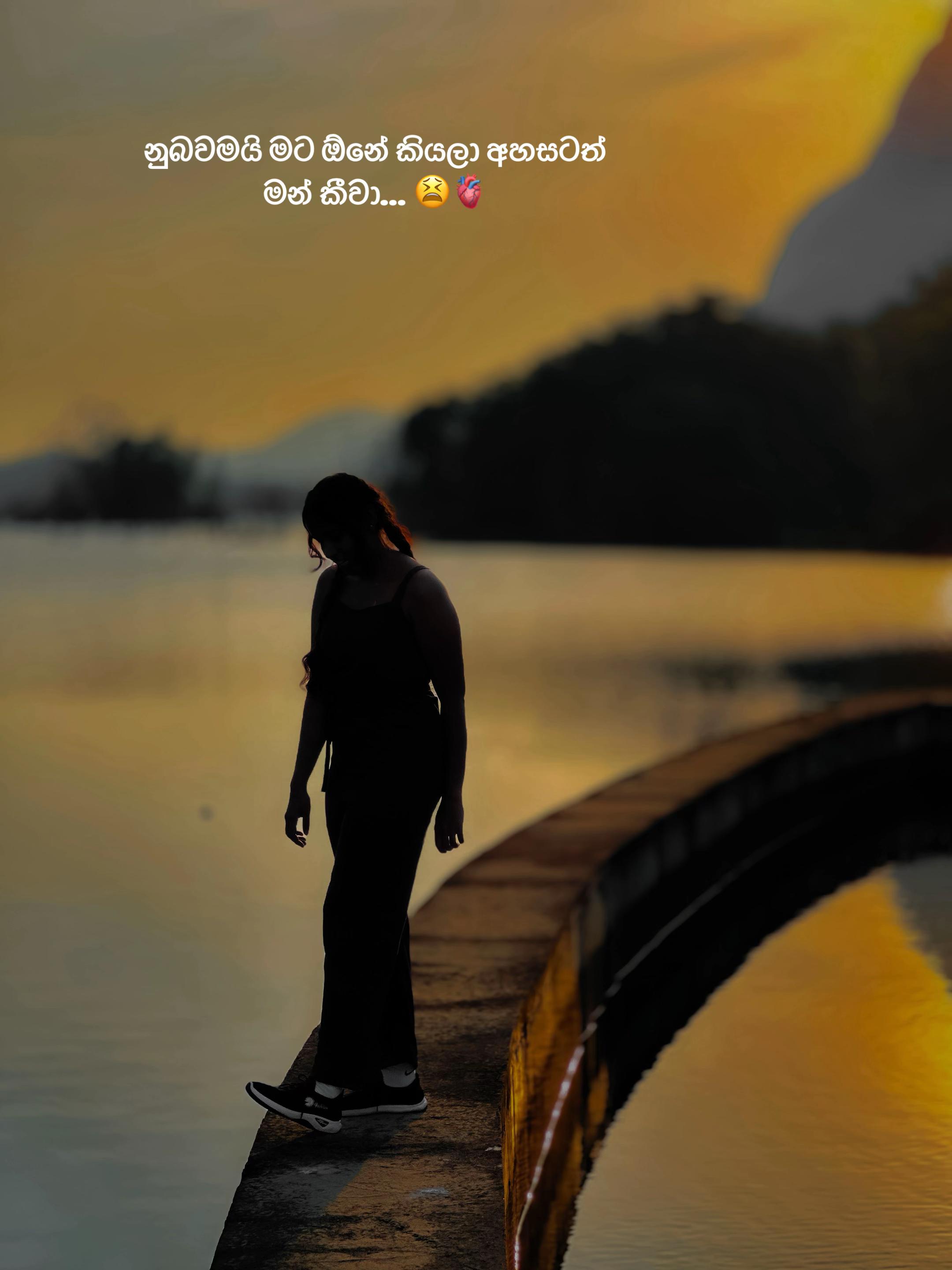 @𝑬𝒗𝒆𝒆 ' 𝑳𝒊𝒔𝒉𝒖𝒖 🐜🍃