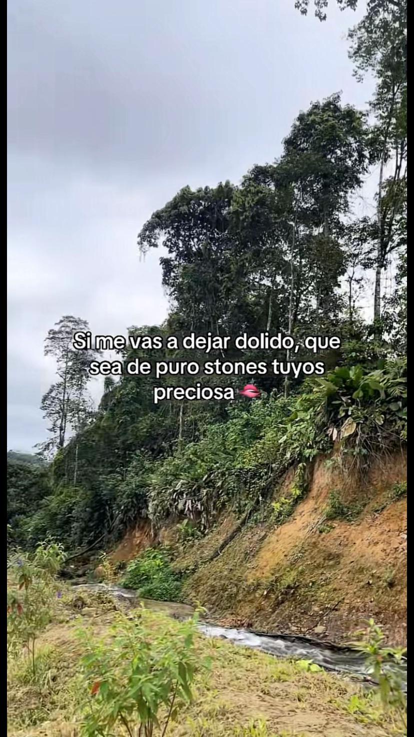 @Tu Sarquito Favorito