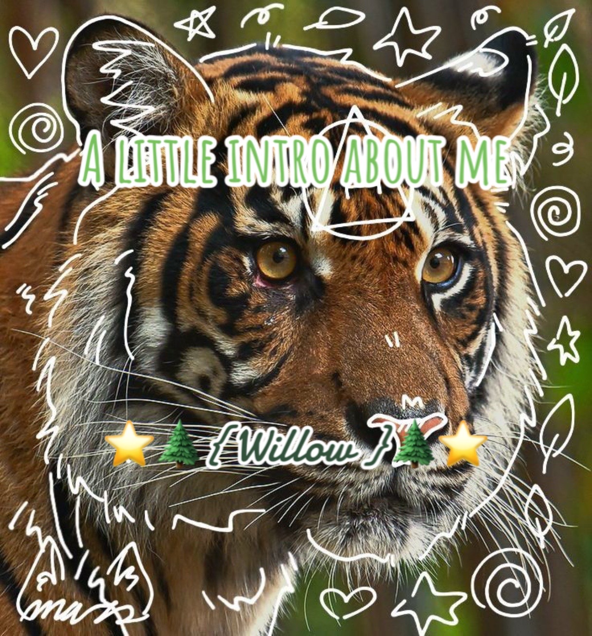 @{~-⃝⃤𓃥 Willow 𓃥-⃝⃤~}