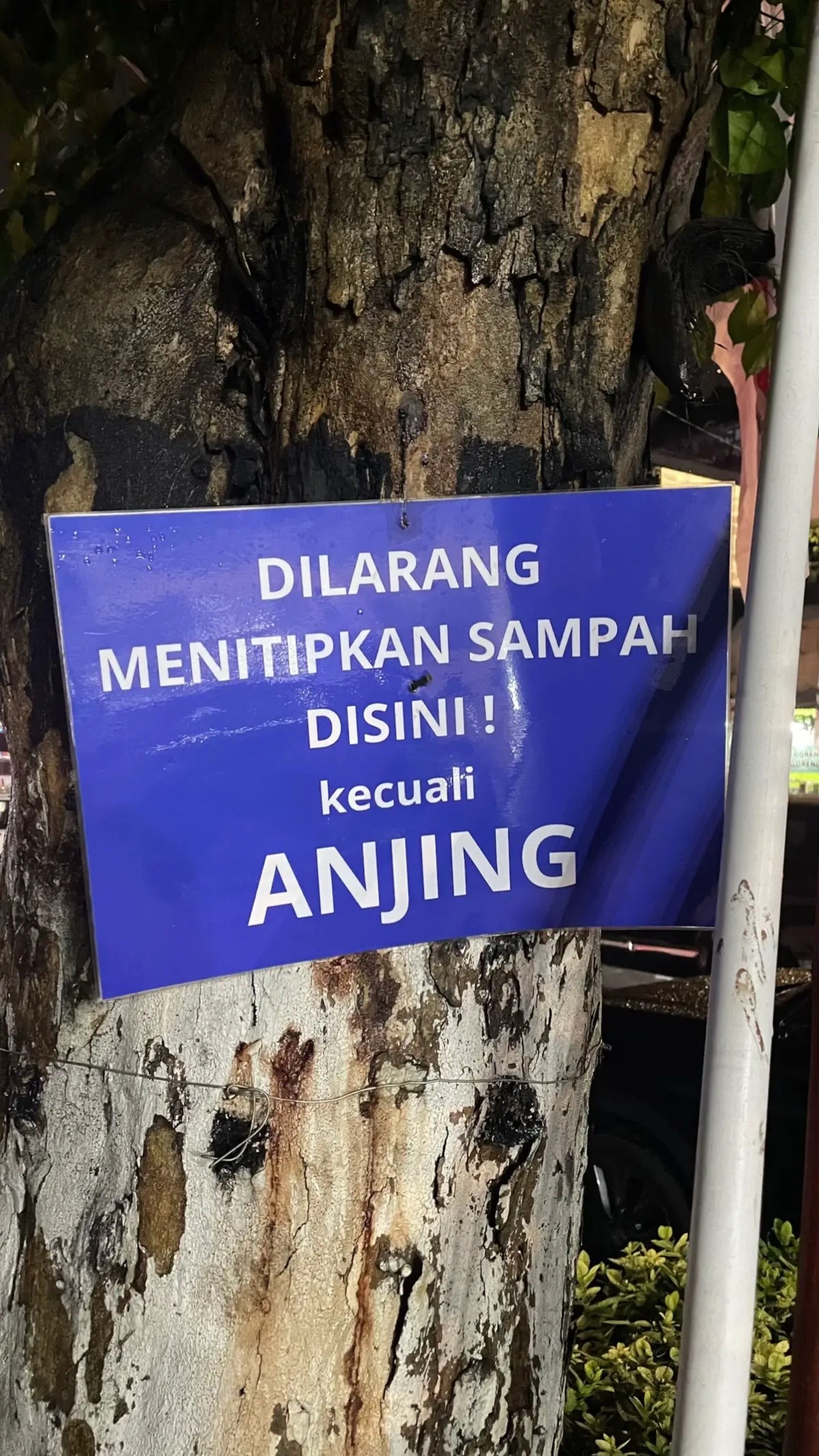 @AdNlam