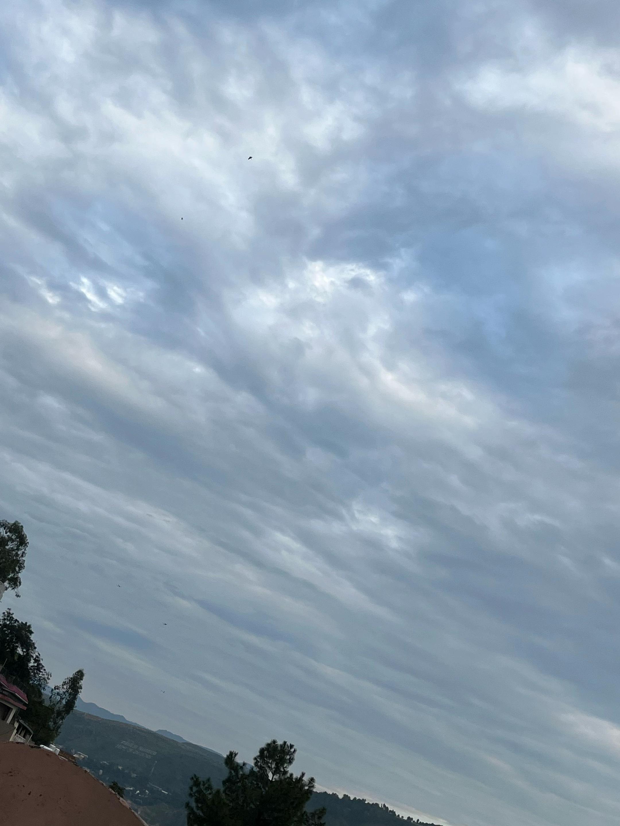 @🚩🦋