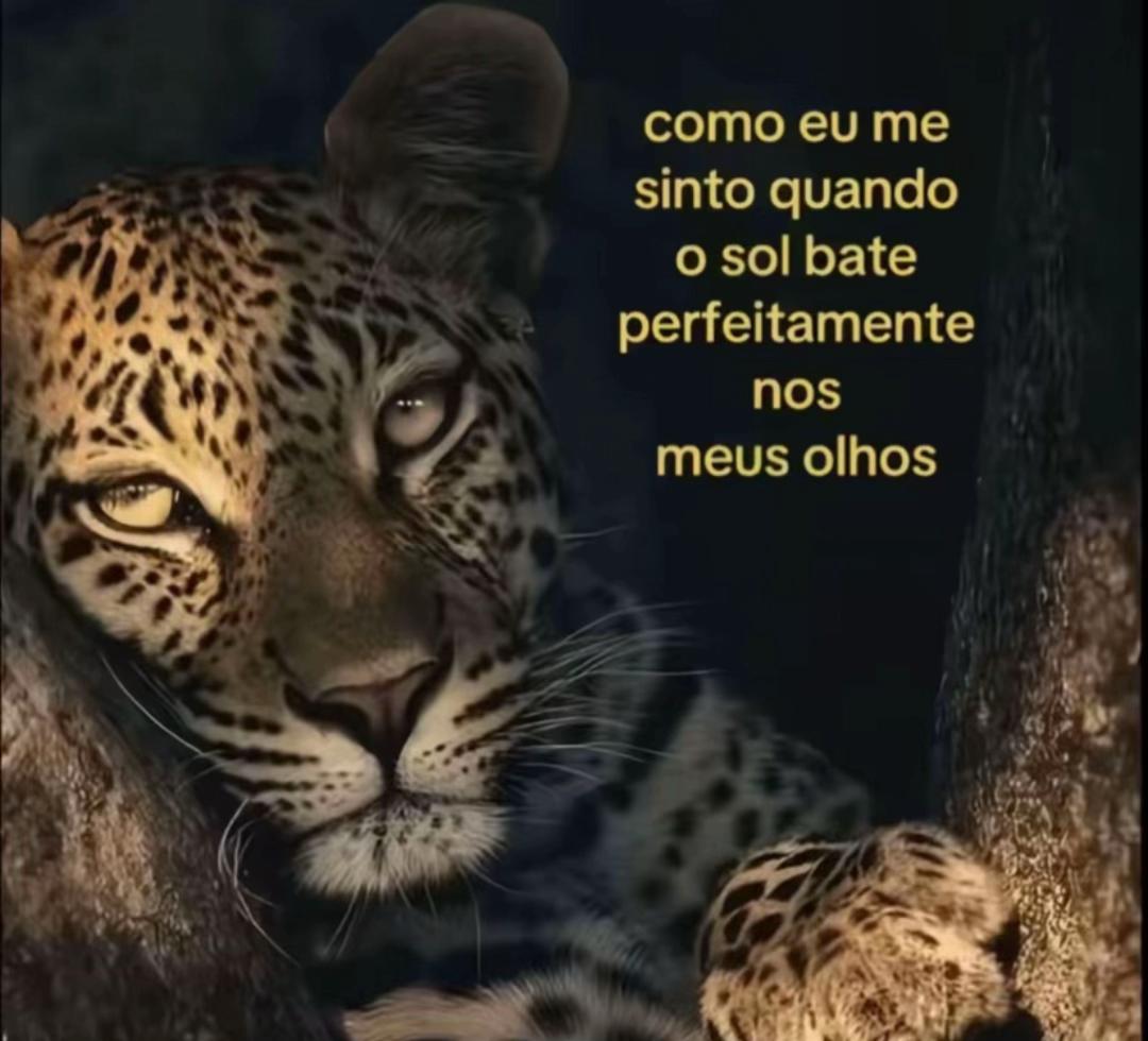 @Alida. oliveira