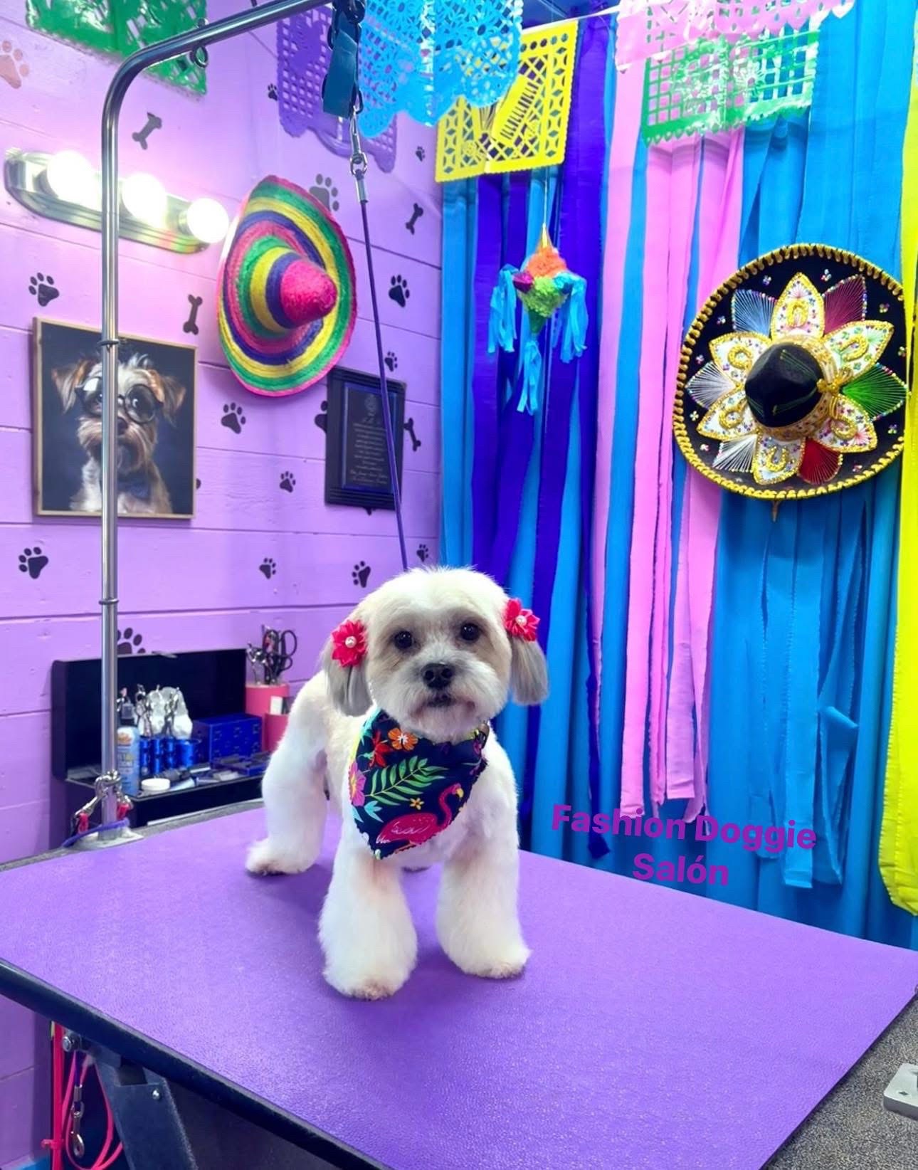@fashion.doggie.salon