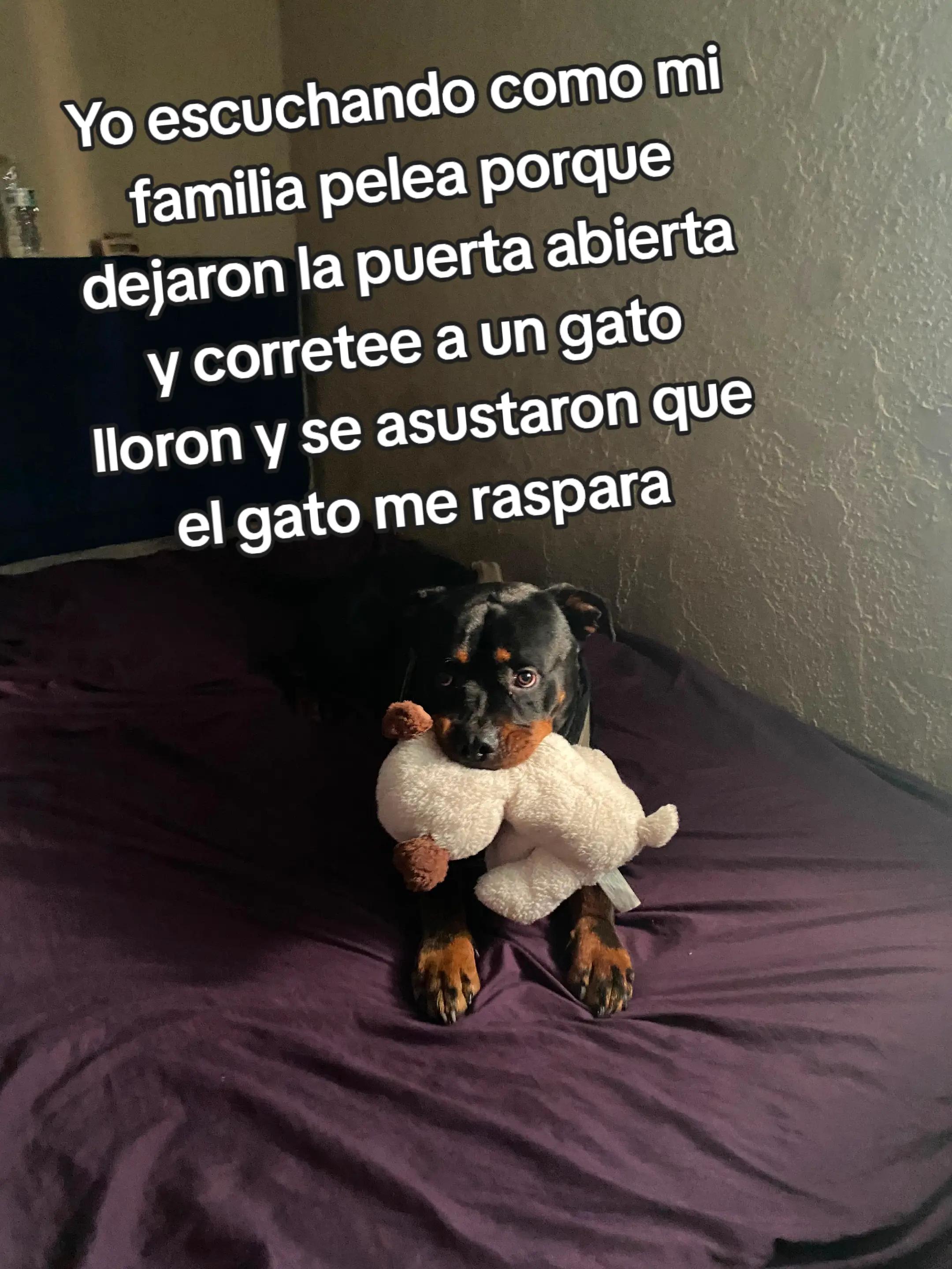 @Nathalya