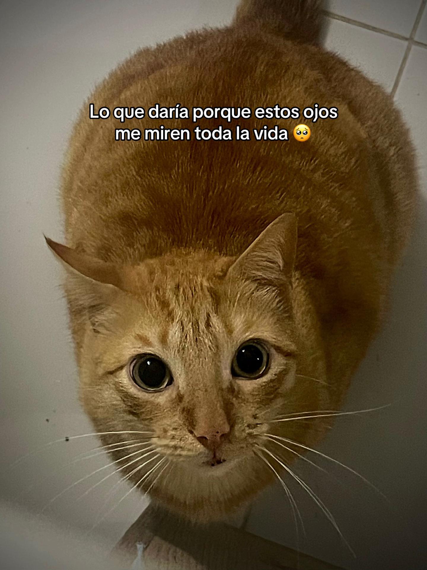 @Valentina 404 💙