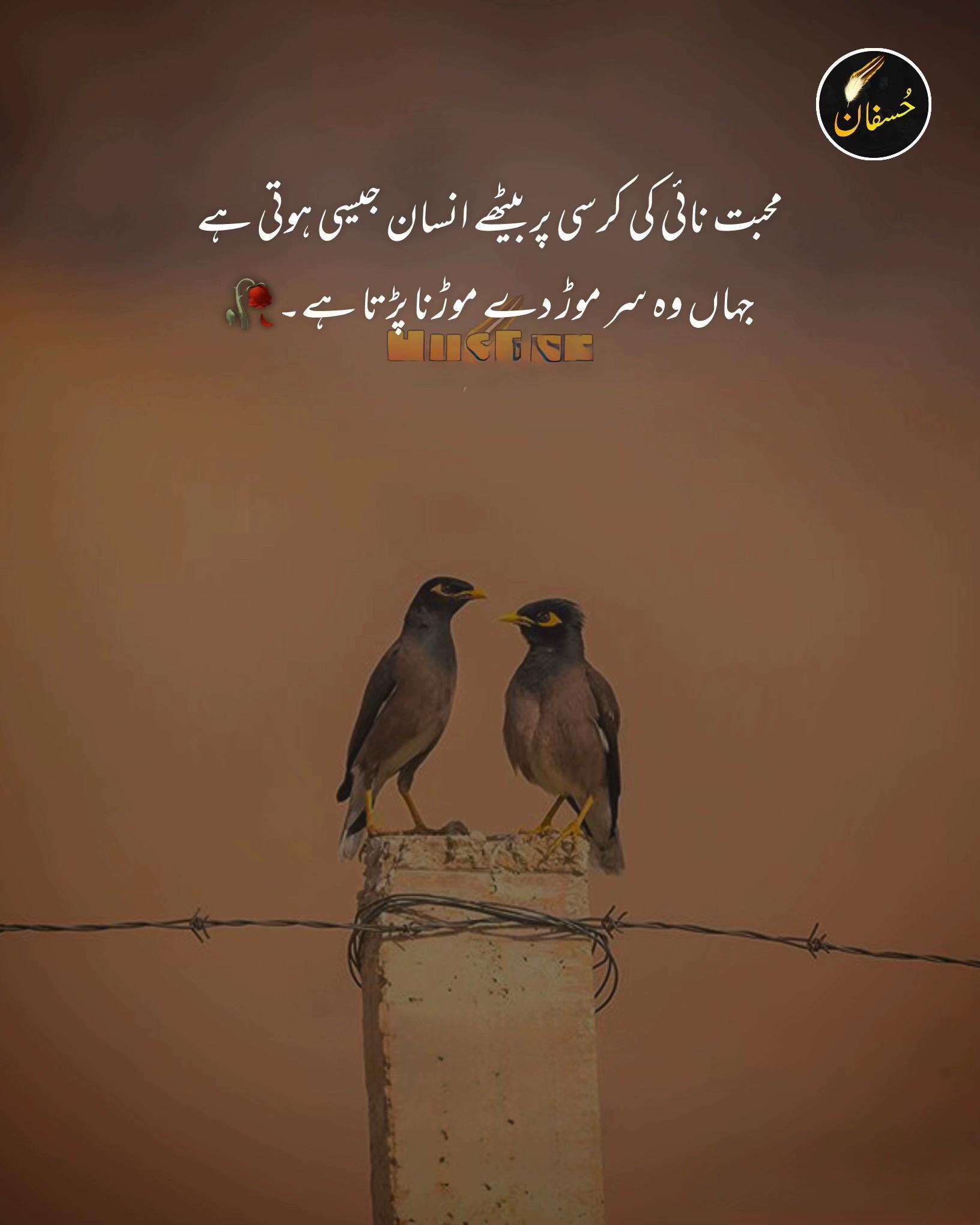 @Faddi_M