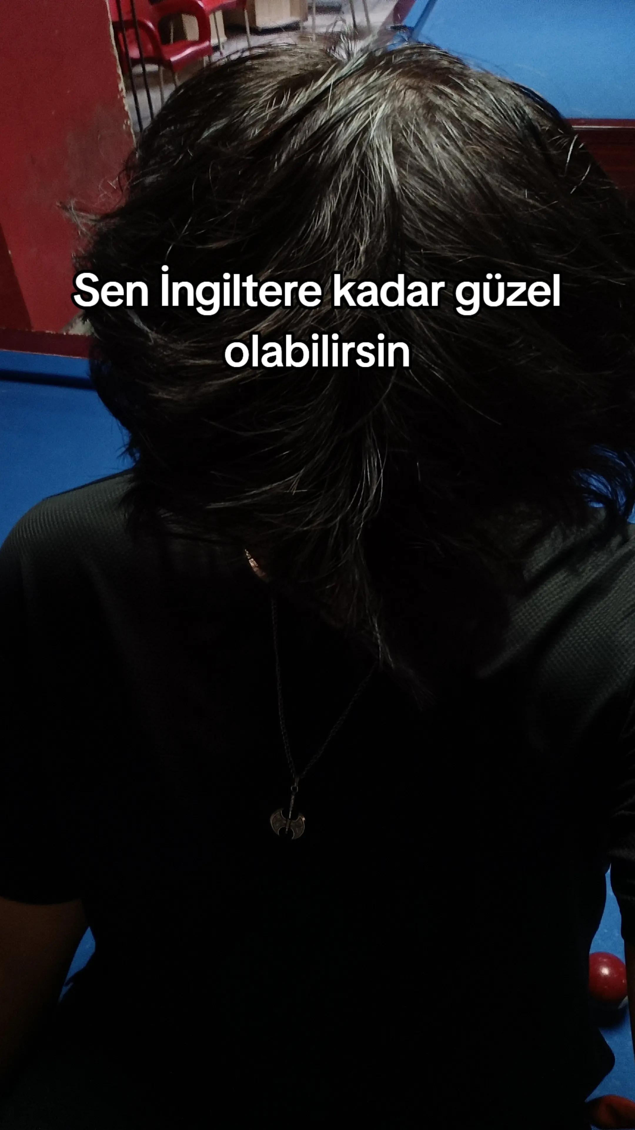 @Atilla Enes