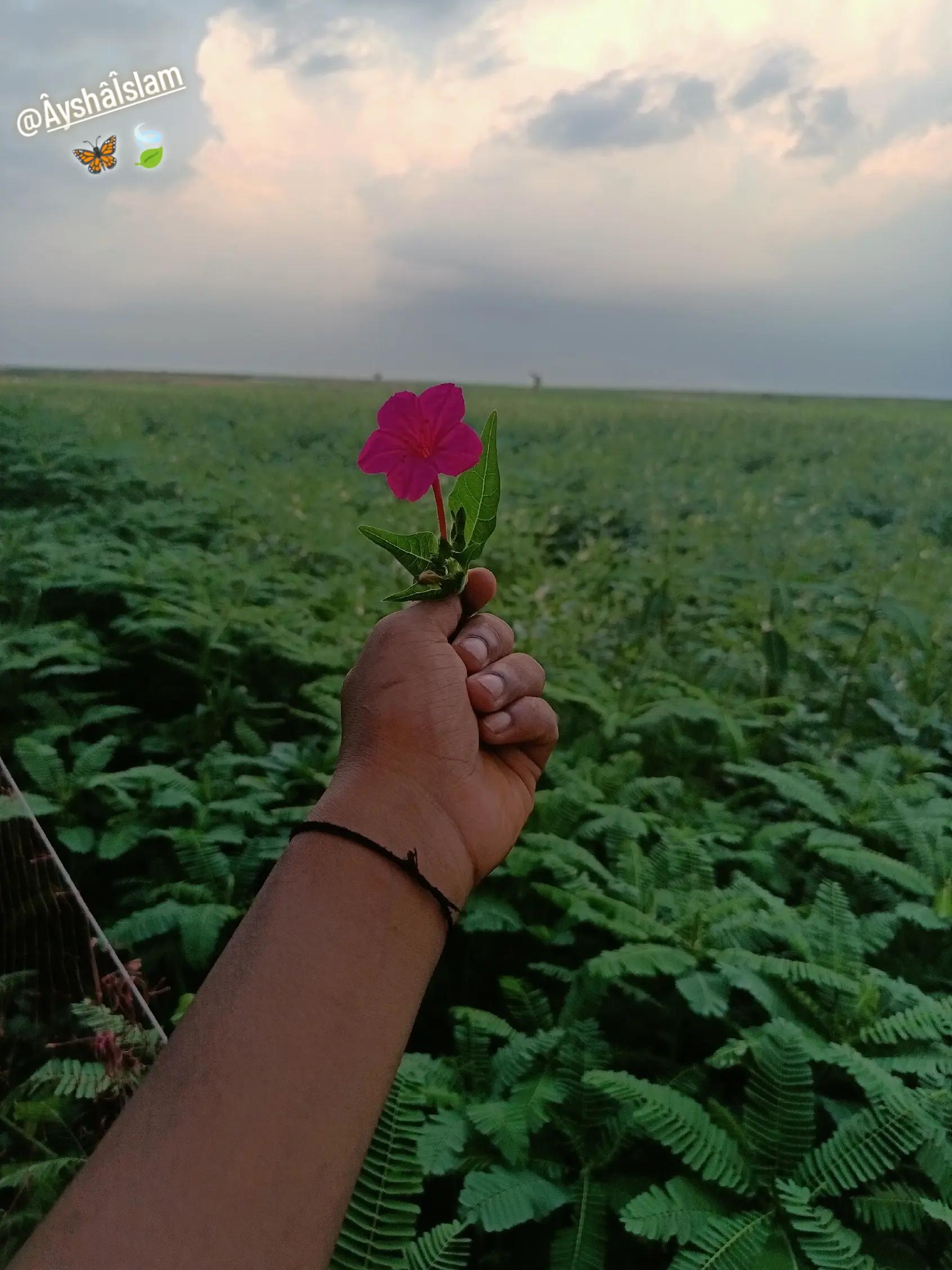@Sinha Islam