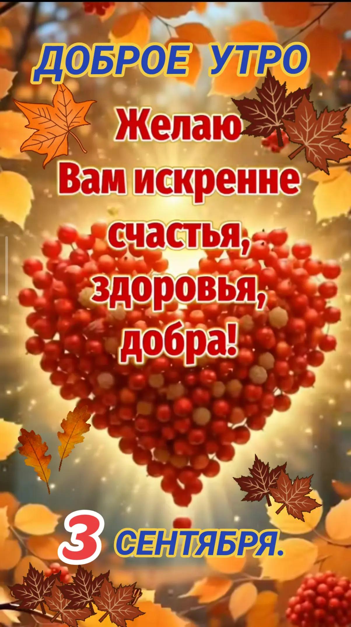 @NINA-WIOLET