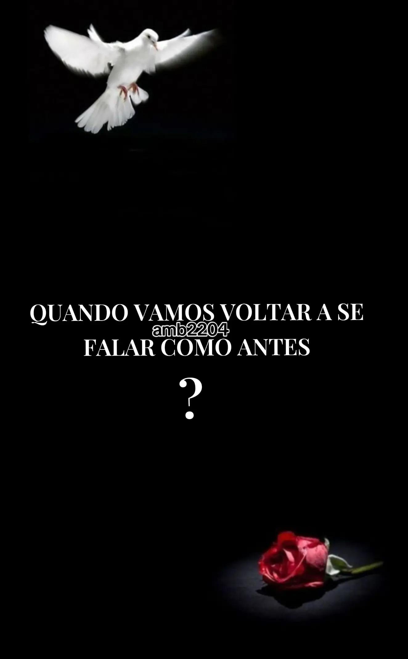 @amb2204