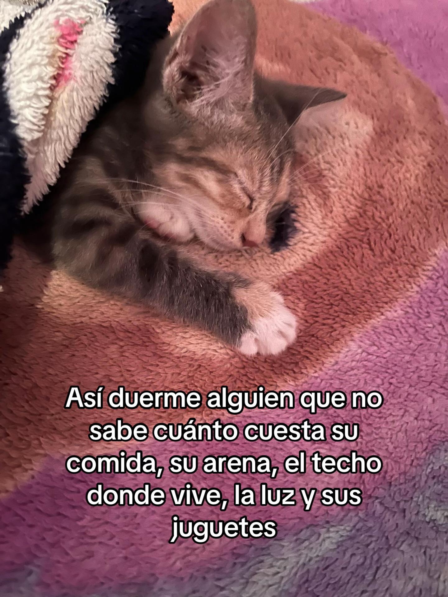 @Nallely Lara Mata ✨